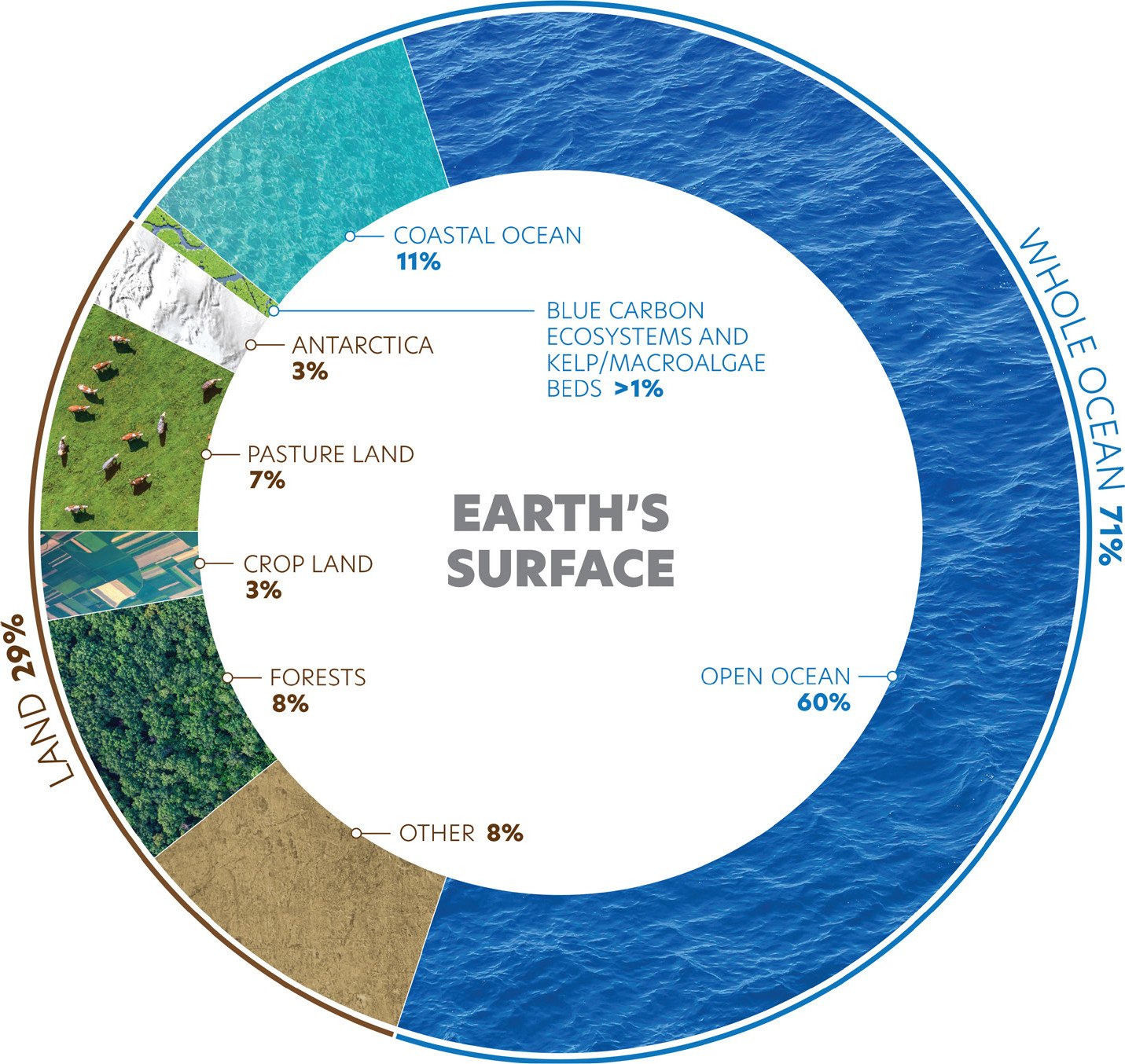 Earth's Atmosphere poster by Visual Capitalist and National