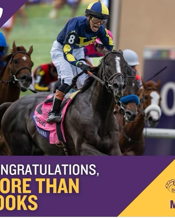 Breeders Cup 2024
