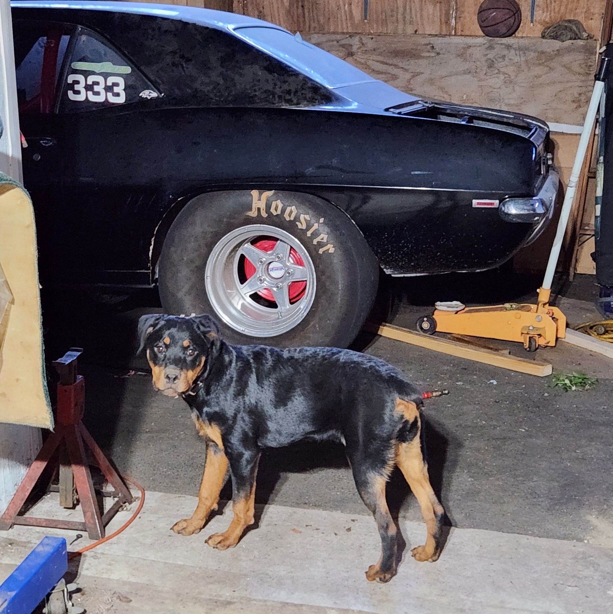 Can you put a clear coat over water decals? Or is decals after the ...