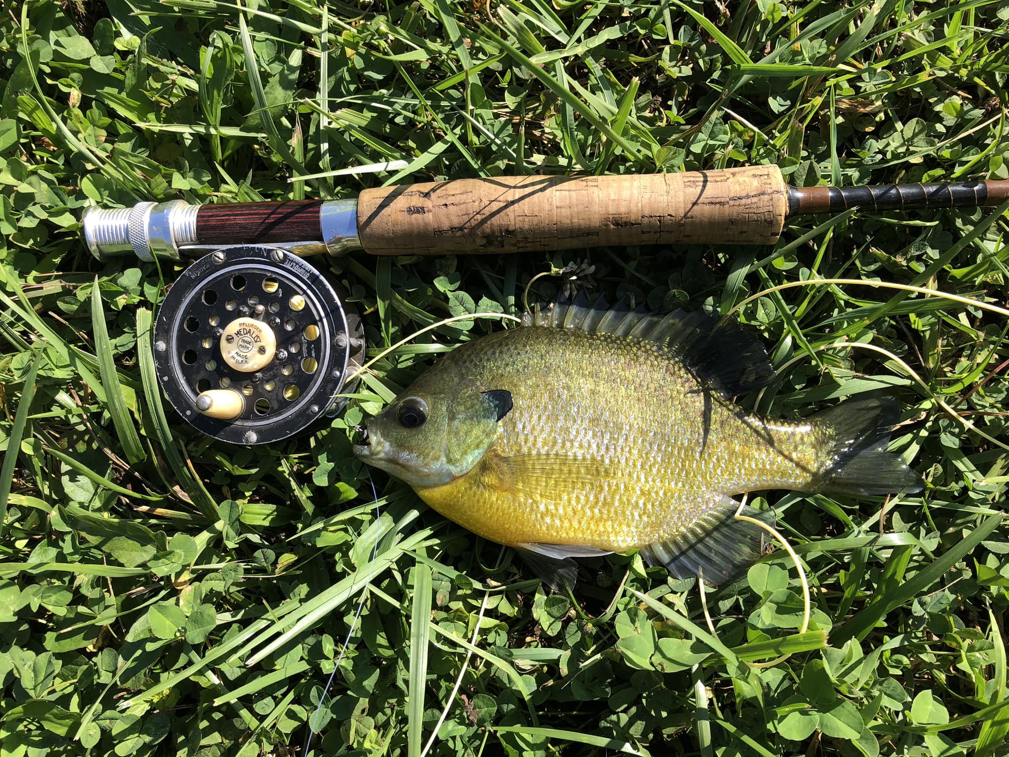 st croix avid fly rod sale X Spinning Rods or gear bag. Shimano Dendou maru 3000H Popper Color:black silver holo