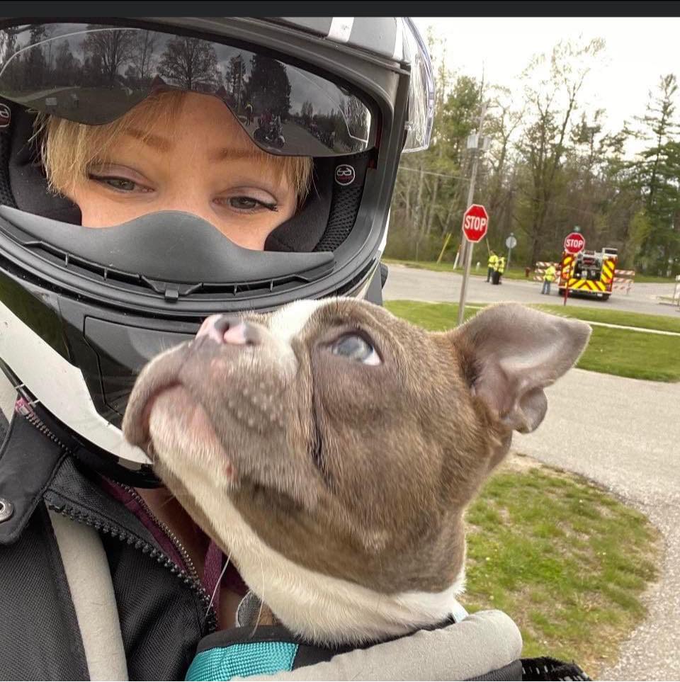 bike helmet with boston terrier Safety Dog Helmets For Motorcycle Riding The freedom your Cat Deserve Biker boys