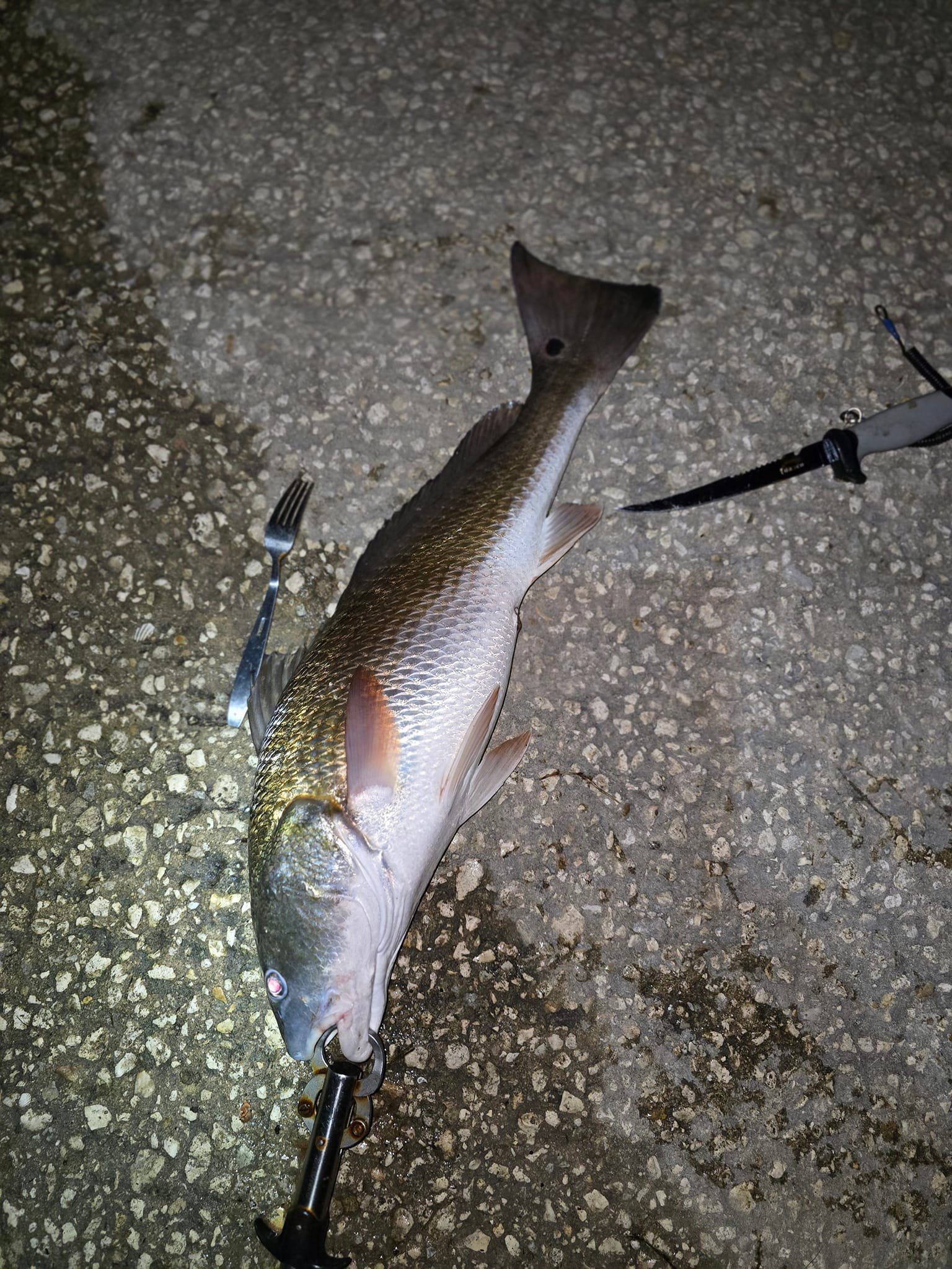 best deal on shimano reels 2021 Ultegra Spinning Daiwa AB 4050 fishing Color:Firetiger/Flame the SLX FAC