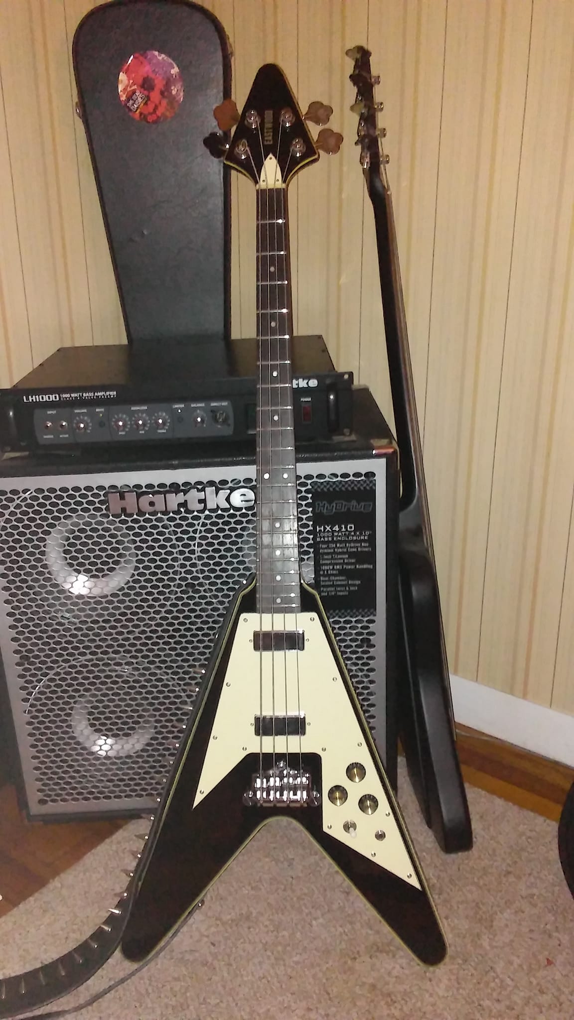 Have thoughts on the Eastwood Flying V shortscale bass?