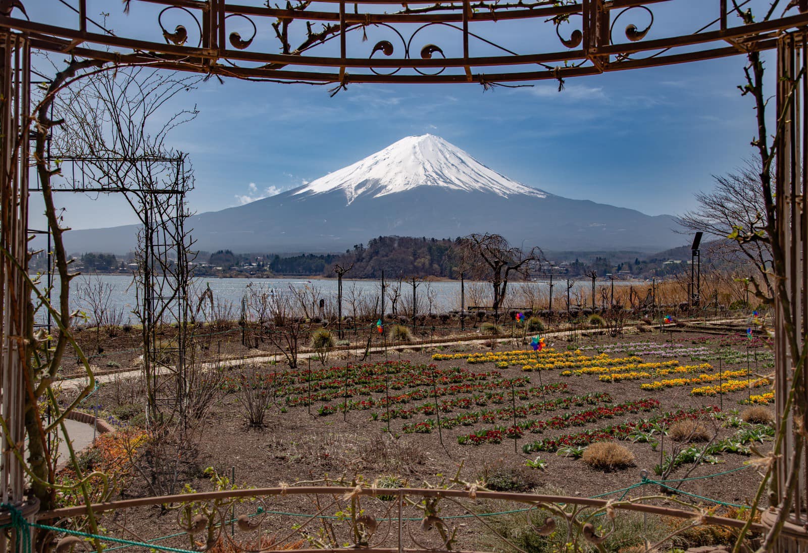 Mt Fuji came out to play today (31st of March, noon), photos taken