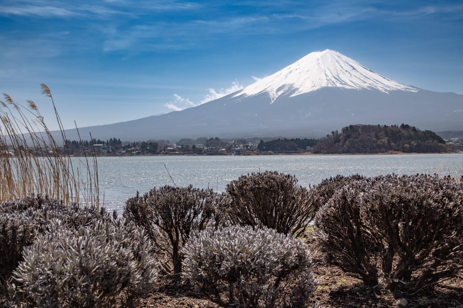 Mt Fuji came out to play today (31st of March, noon), photos taken