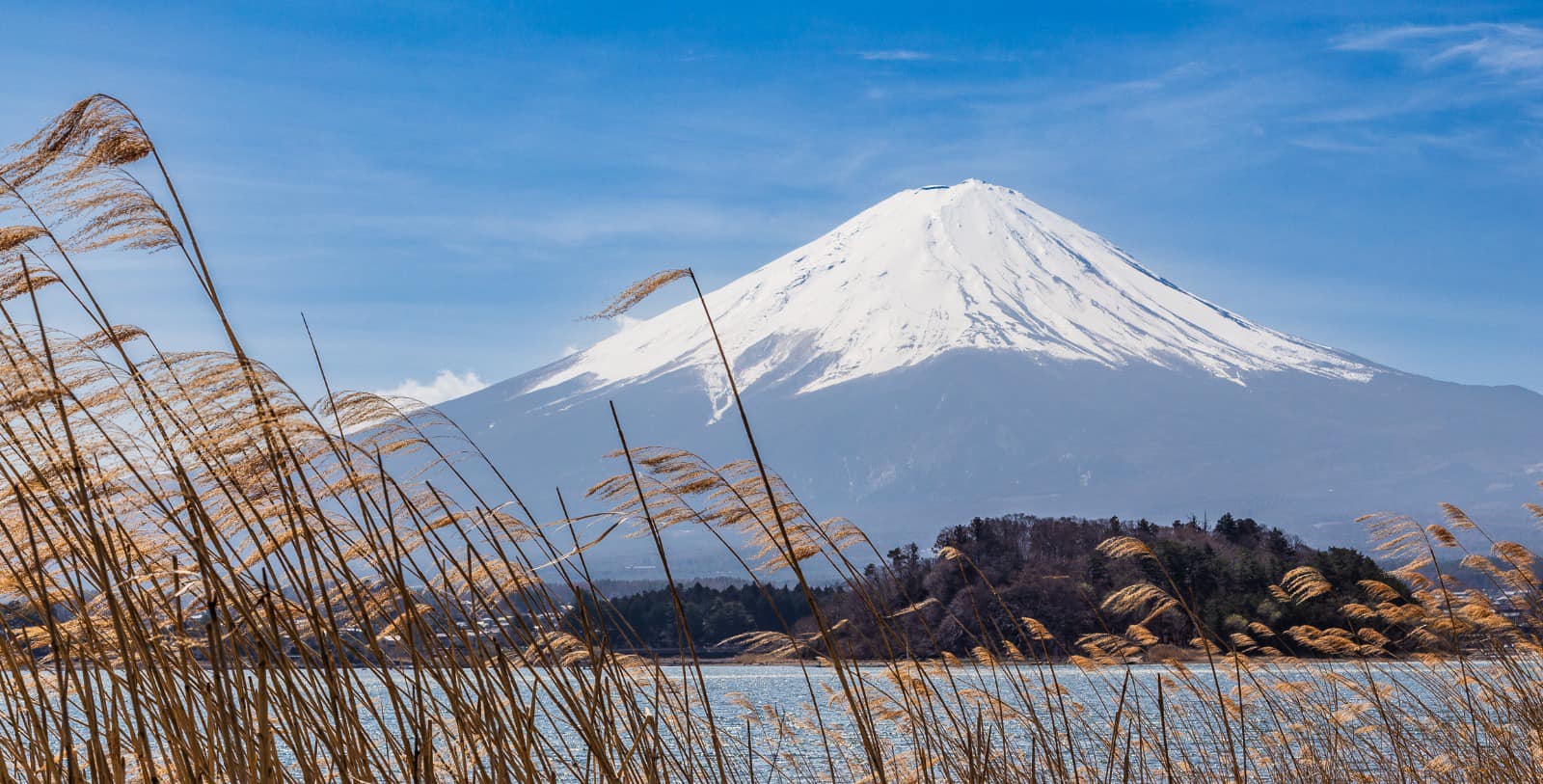 Mt Fuji came out to play today (31st of March, noon), photos taken