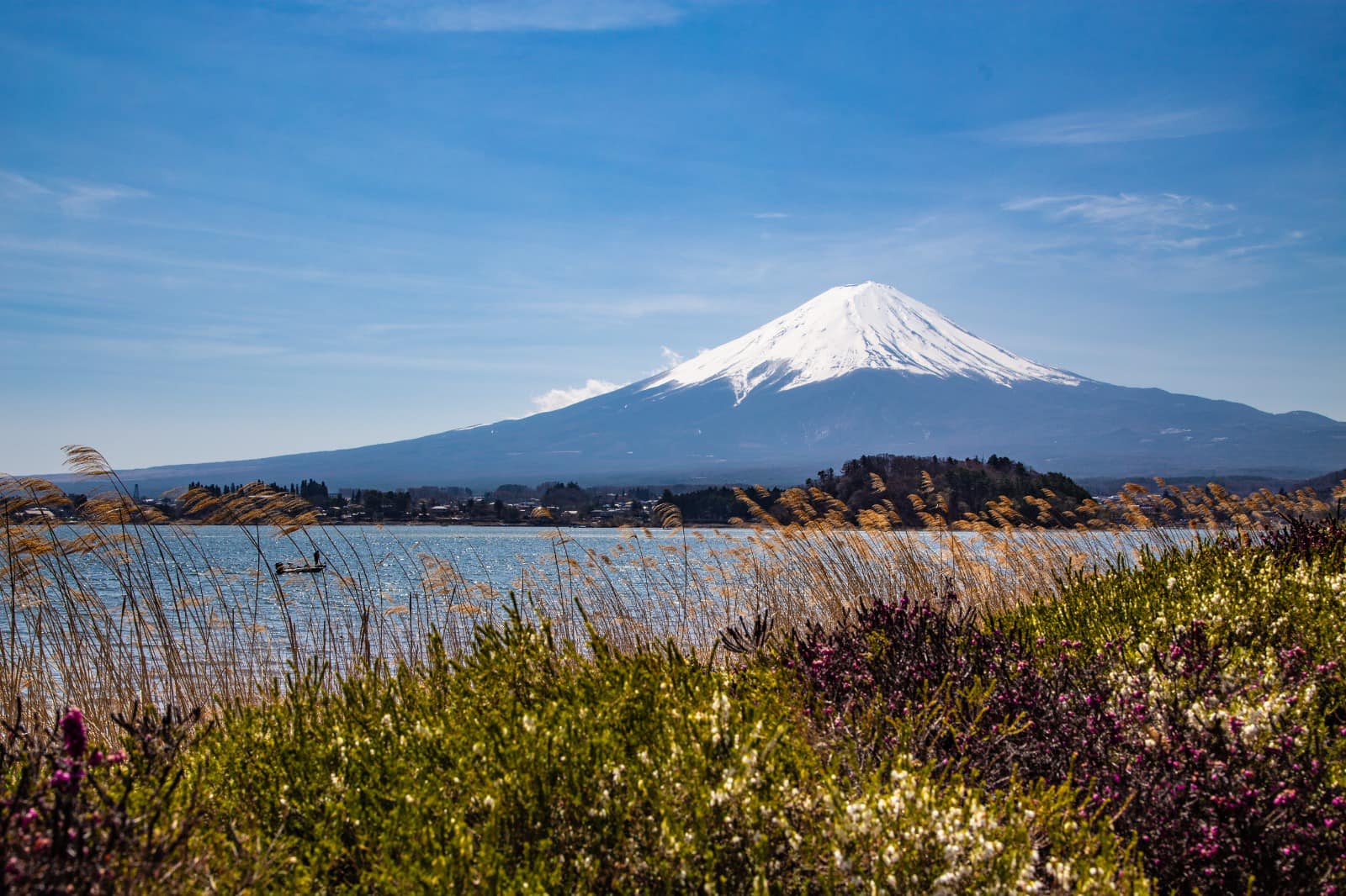 Mt Fuji came out to play today (31st of March, noon), photos taken