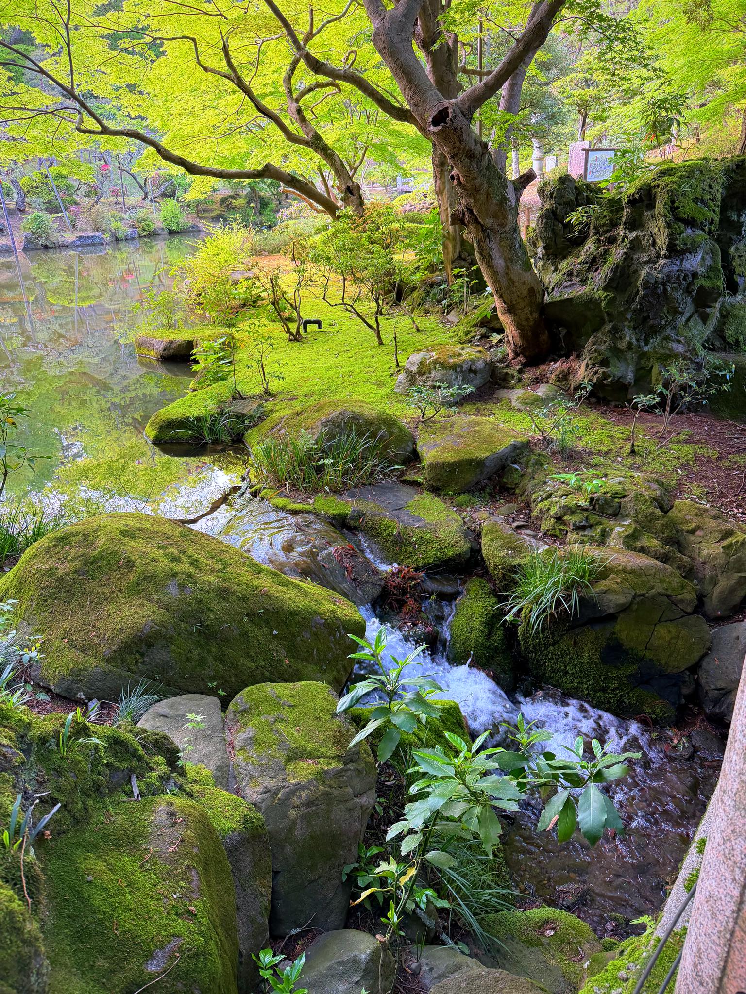 Naritasan park tranquil garden scenic beauty