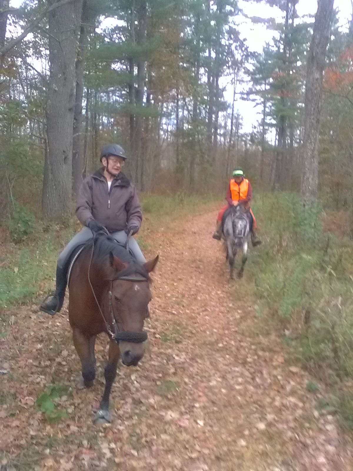 Rockingham Riding Club | The Maze trail ride: Five us of us met up ...
