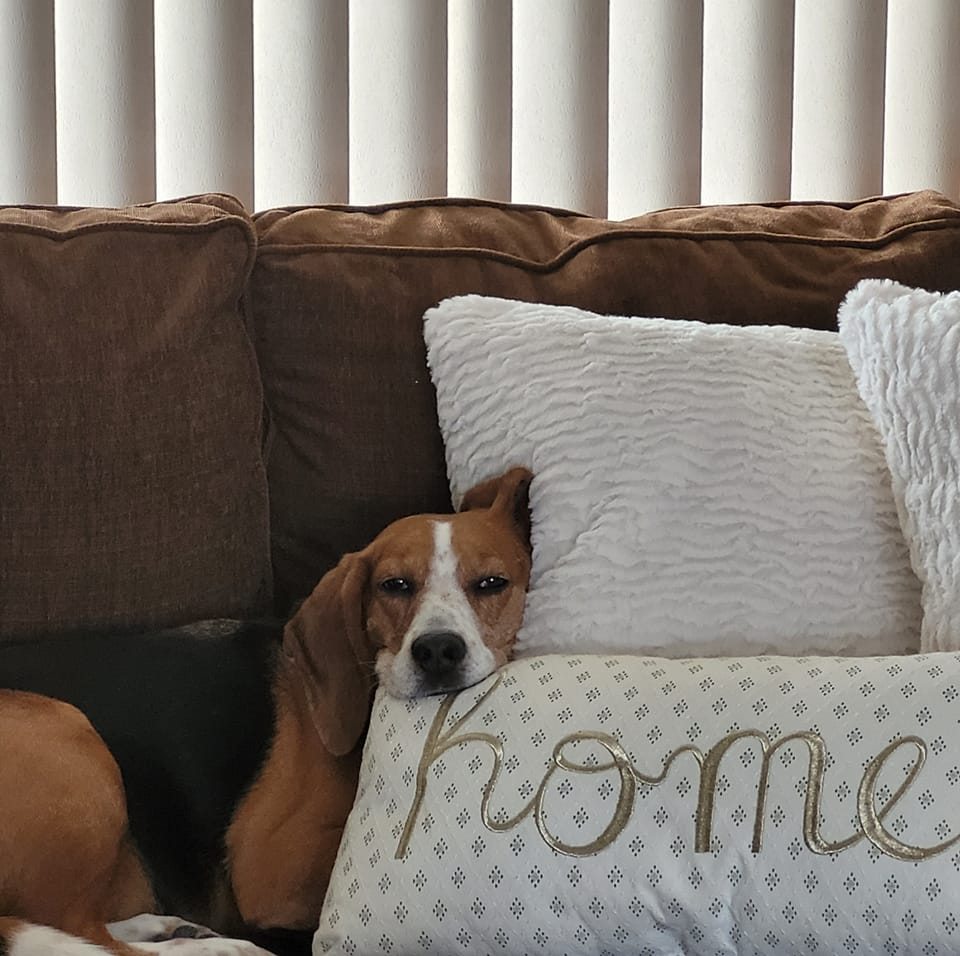 North Providence-Rhody Neighbors | Just wanted to give a compliment to ...