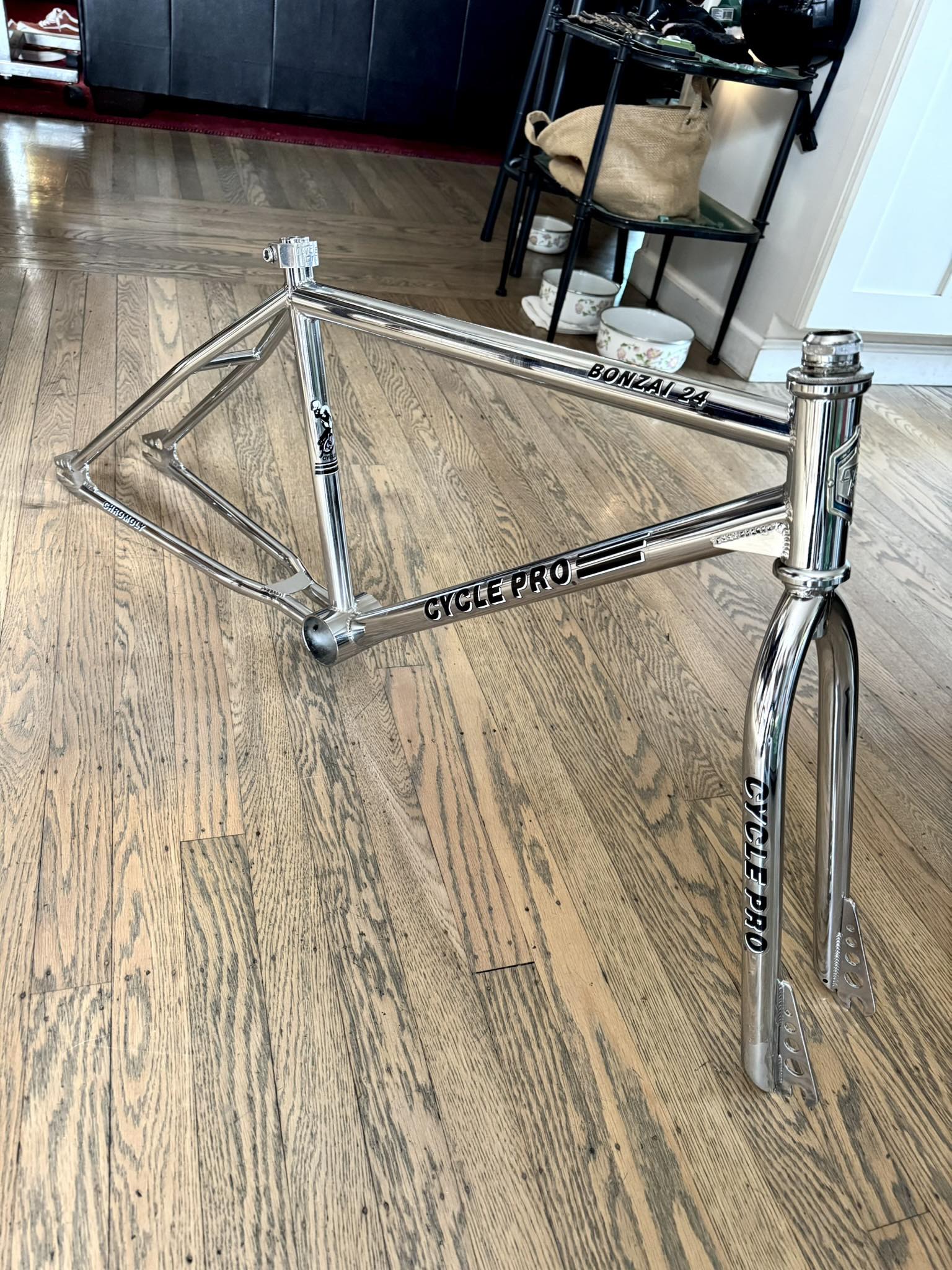 Cleaned up a 1982 Cycle Pro Bonzai 24 inch