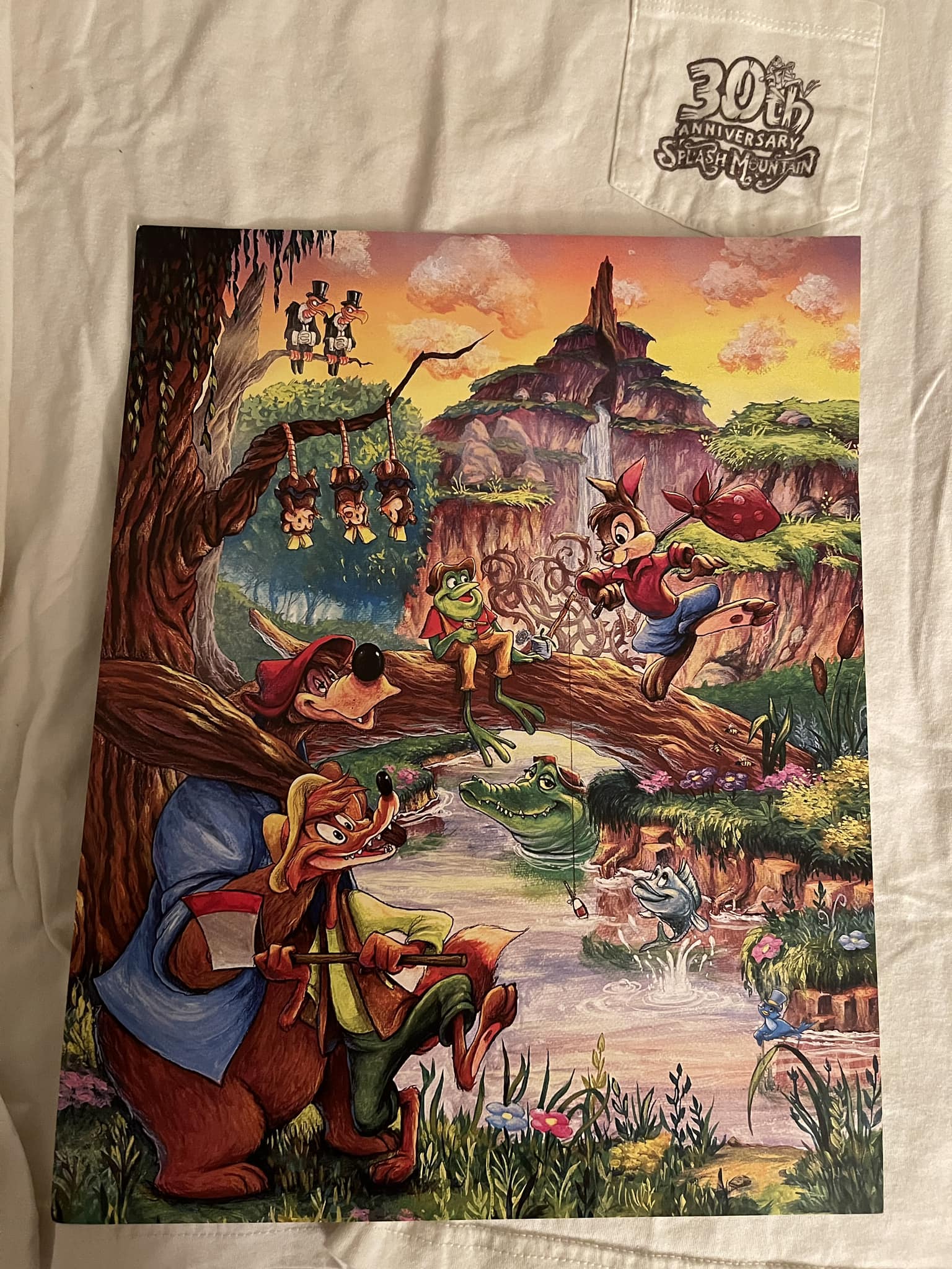 Rare Disney Splash Mountain artwork by James C. Mulligan