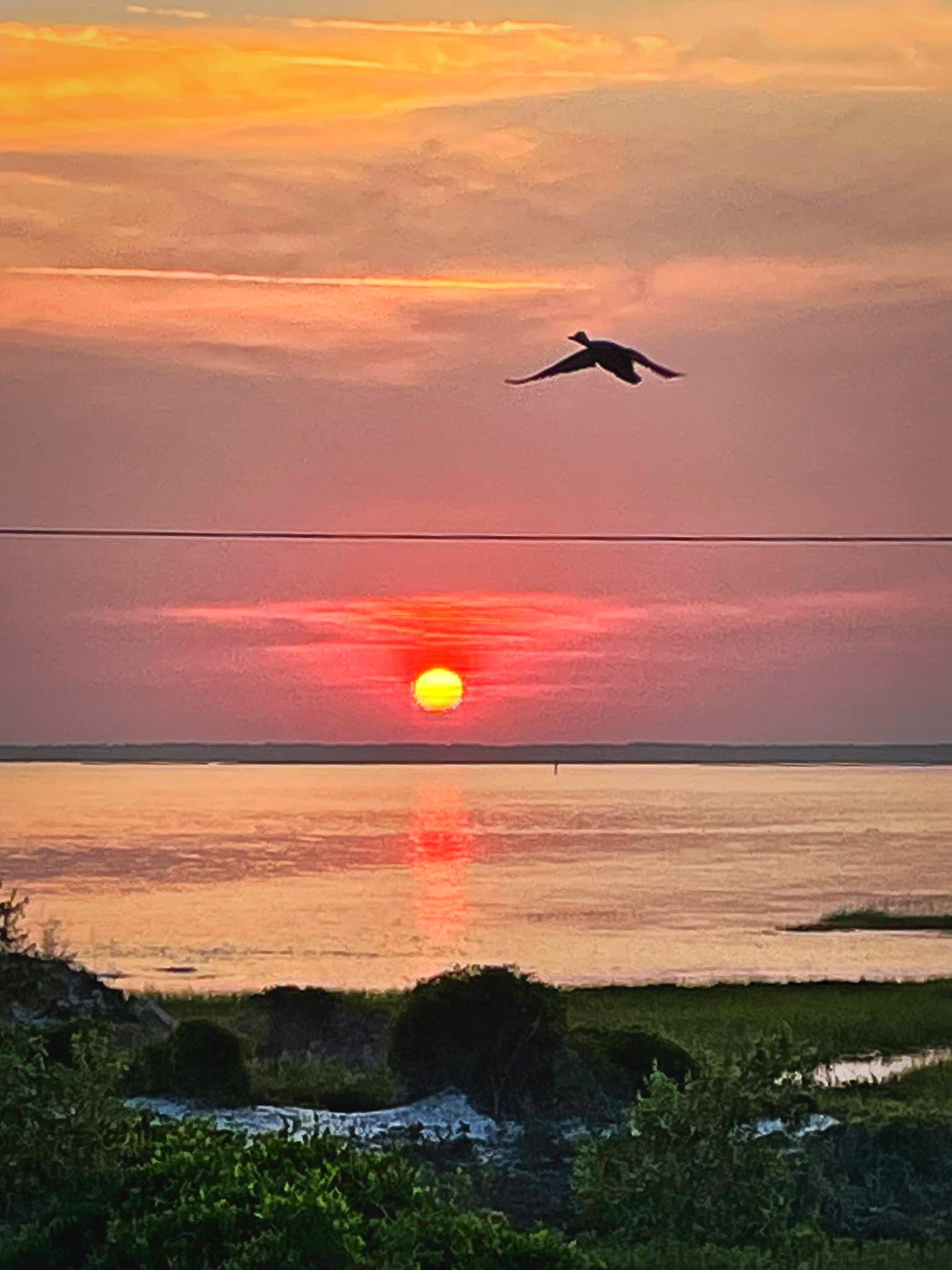 Nice sunset view of the bridge to the best beach in the world…shhhhh.