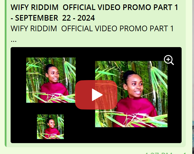 Born Free Street Team Promotions | The wify riddim official release ...