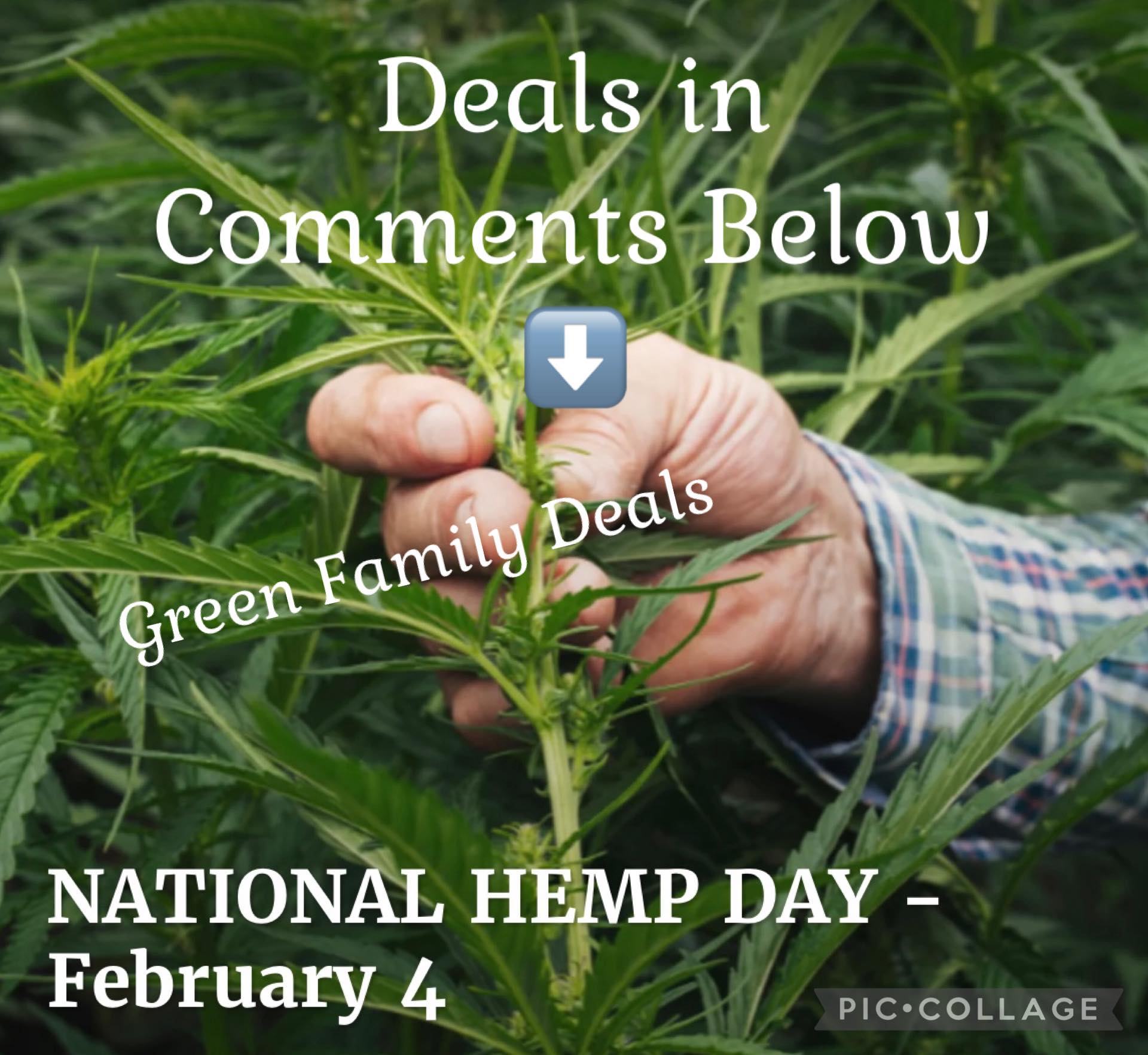 TODAY IS NATIONAL HEMP DAY! Look for Deals in Comments Below! | Facebook