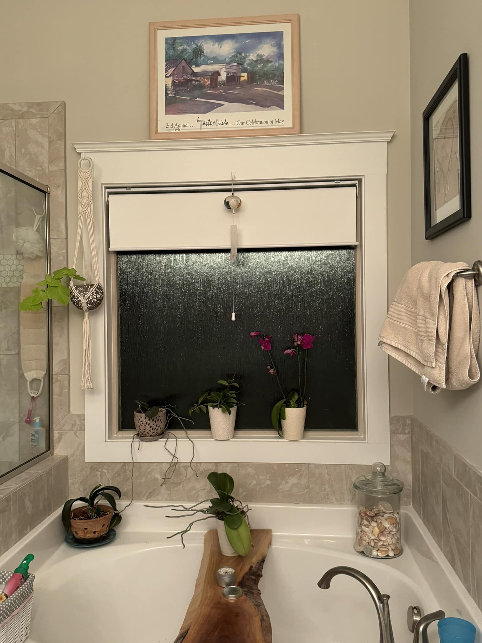 My bathroom window. Spring Hill, TN