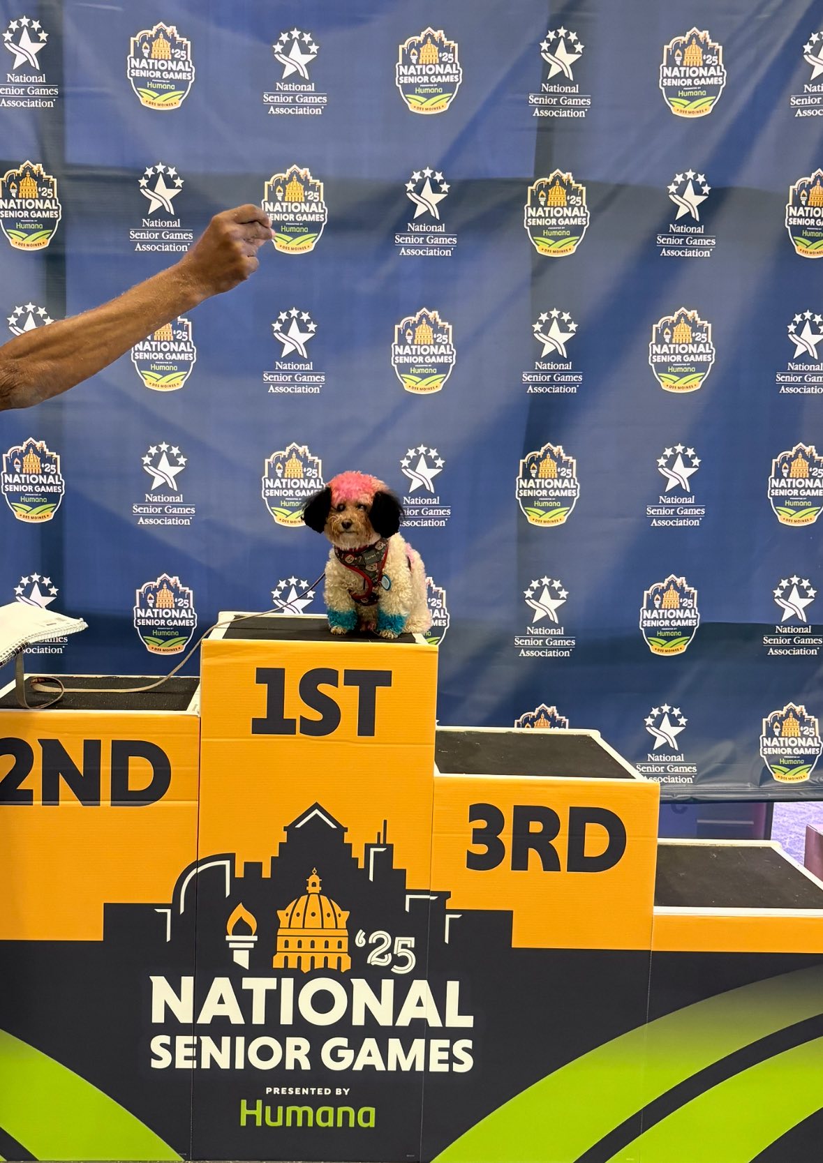 National Senior Games Des Moines 2026 | Facebook
