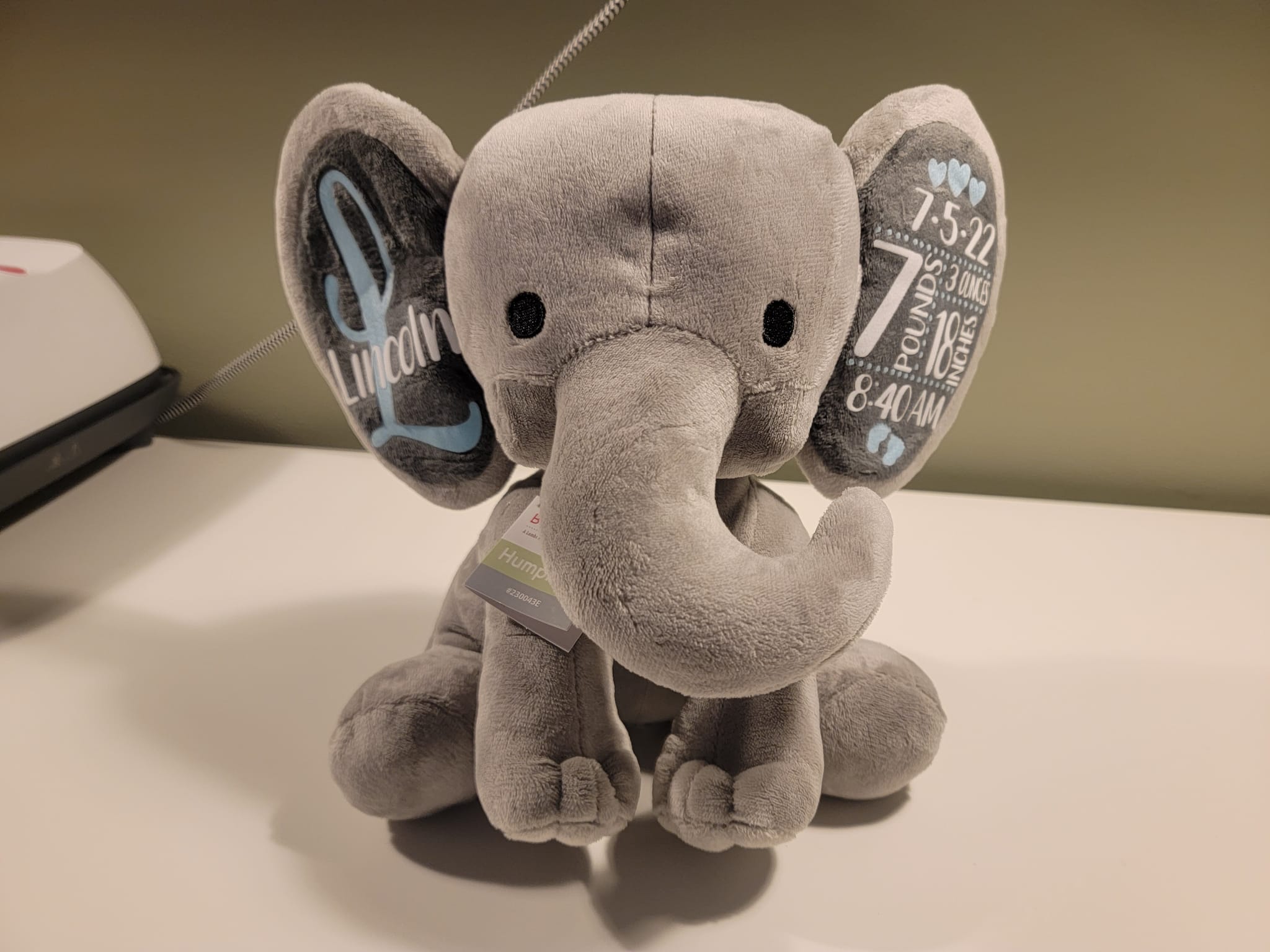 Bashful Luxe Elephant Thuddeus big 🐘 & original 🐘, they are so