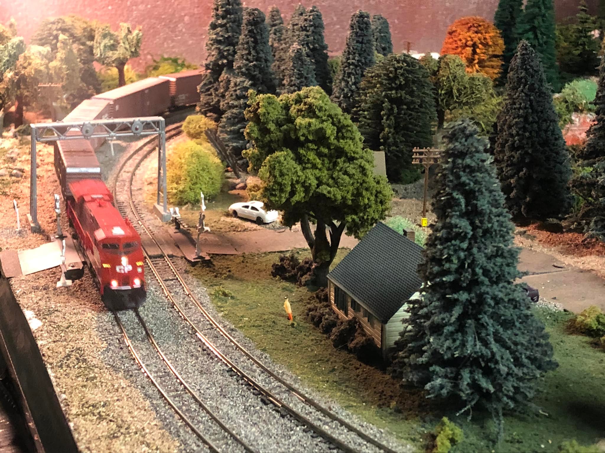 JTT SCENERY 95634 DRIED CATTAILS O-SCALE 1 1/2 HIGH 24 PER PACKAGE