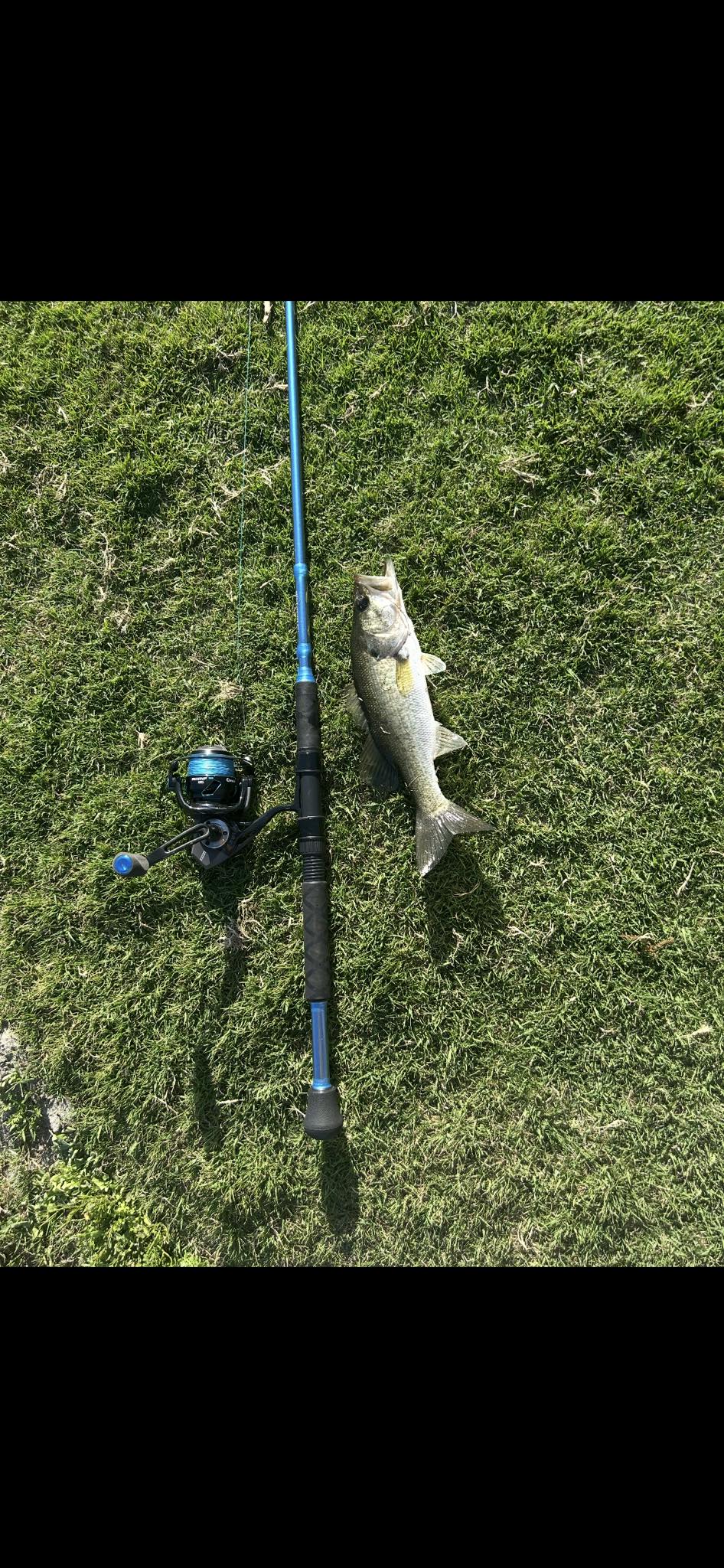 okuma sst a series Special Edition Fishing Rods Color & Size:Killler Jigs 5/8 Oz Pearl/Green/Green Flash 10PK Regular Tie Bar Berkley 2019 Product Catalog#, premium s
