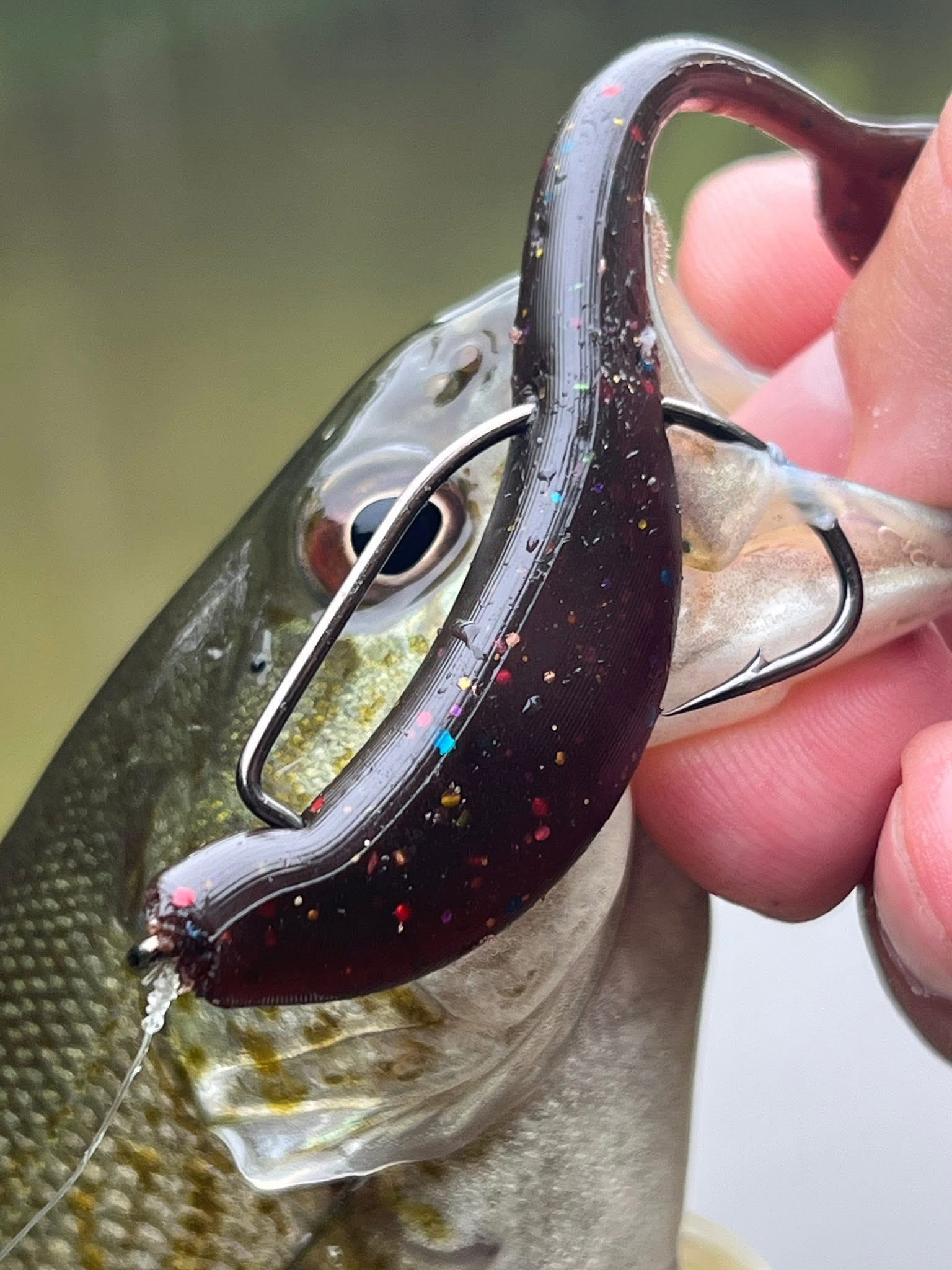 double jointed fishing lures LUREGO 22cm Soft Bait 2-Section – Ultra-Flexible Swimming Lure with Hooks for Freshwater & Saltwater Lure 100 1/0 10827SS Black diving lip Size:1/4oz 3/0 Brazalo Custom Lures