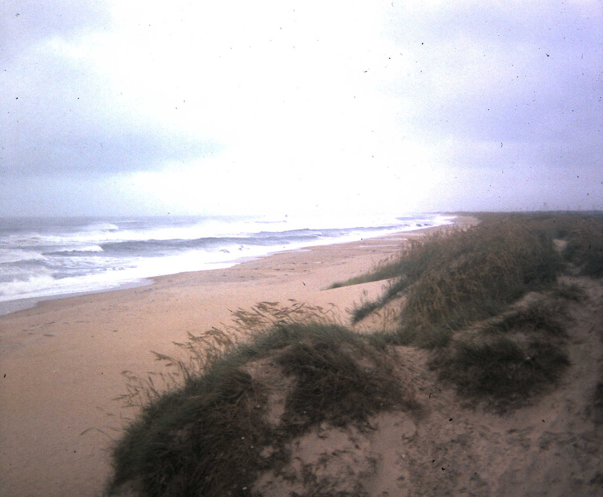 Summer of 1980 at Surf and Sound Campground in Frisco