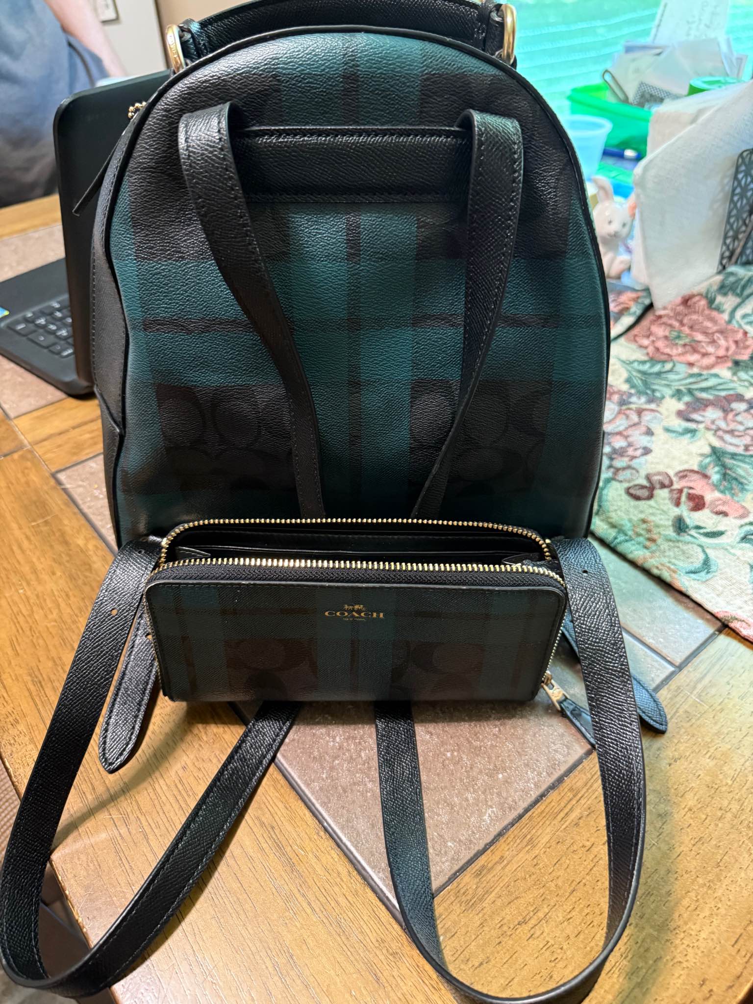 north face aurora borealis backpack The Women's B2B Program Osprey Atmos AG 65 lined pocket for sunglasses Color:PM Skeleton Ayu