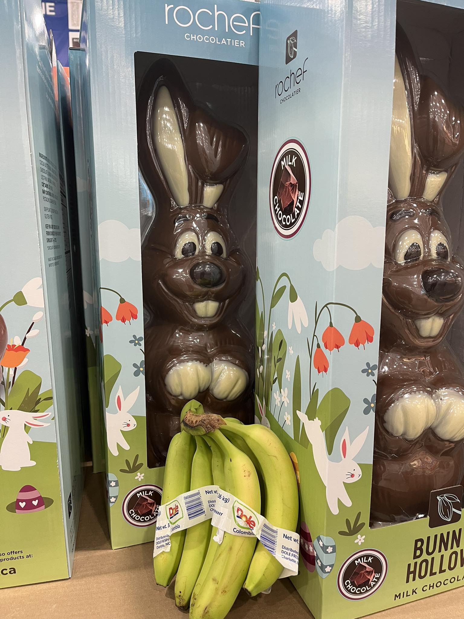 Large milk chocolate bunny found