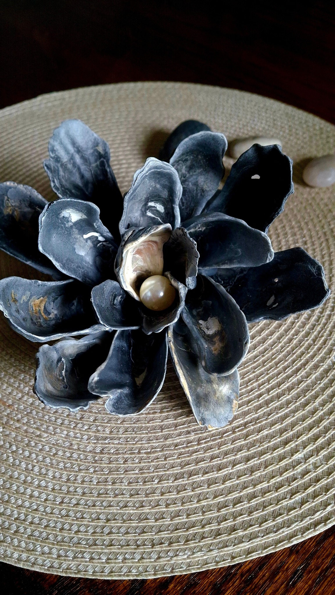 What type of shell is this black shell found on Satellite Beach