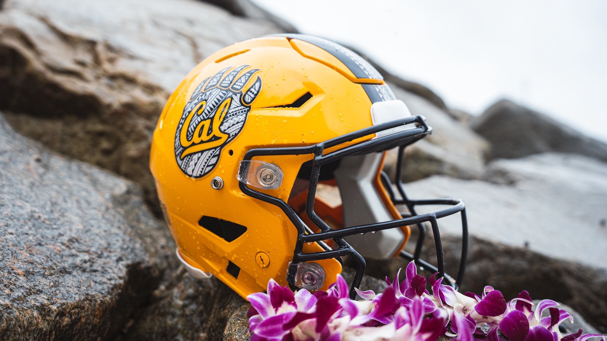 arai xd4 best com QUINYON MITCHELL Signed Autographed the air will be home decor LOGO OPTION:PYLON Logo
