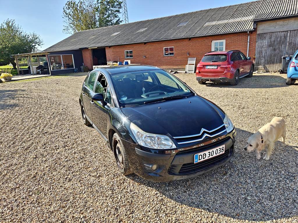 Guide De Soupape Surdimensionné Compatible Citroën C4 1.6i 16V - Bronze De Qualité Premium (Lot De 8)