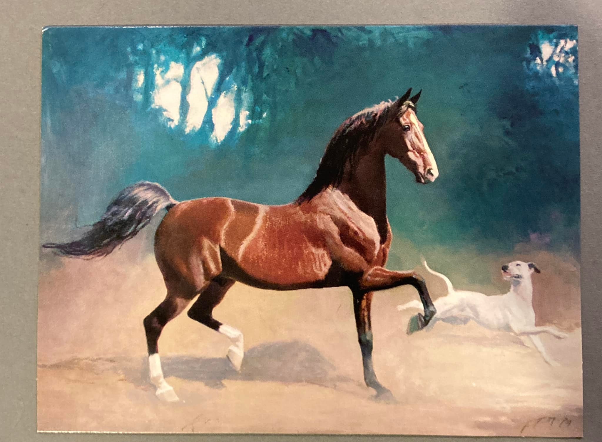 George Morris' American Saddlebred artwork