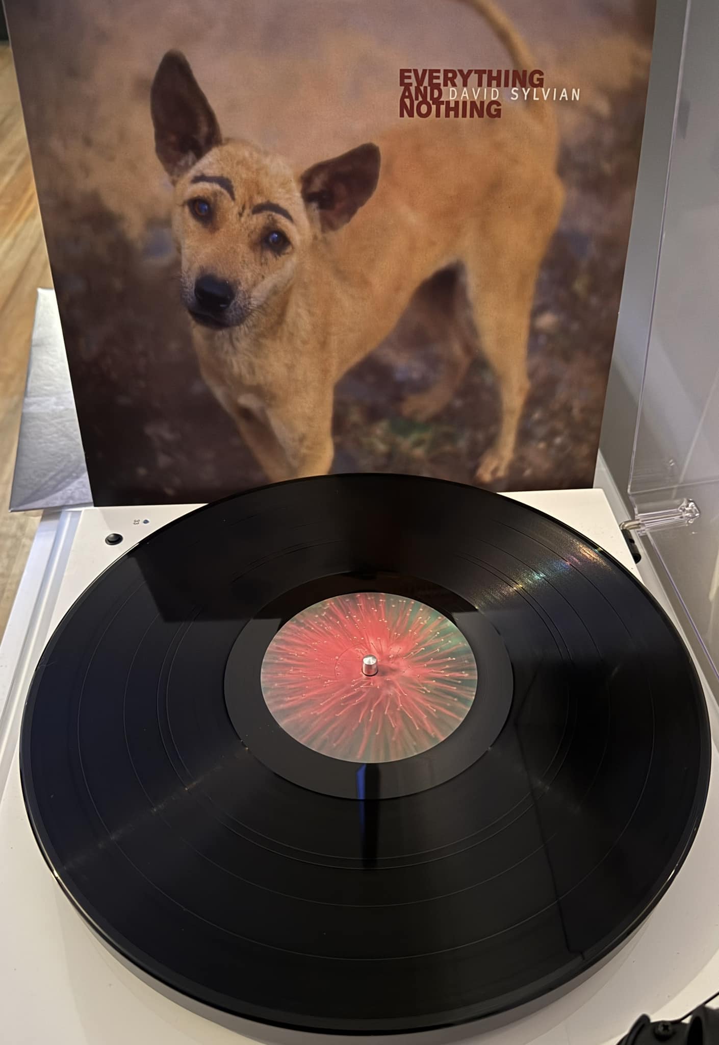LIMITED | David Sylvian - Everything & Nothing: Vinyl 3LP Just