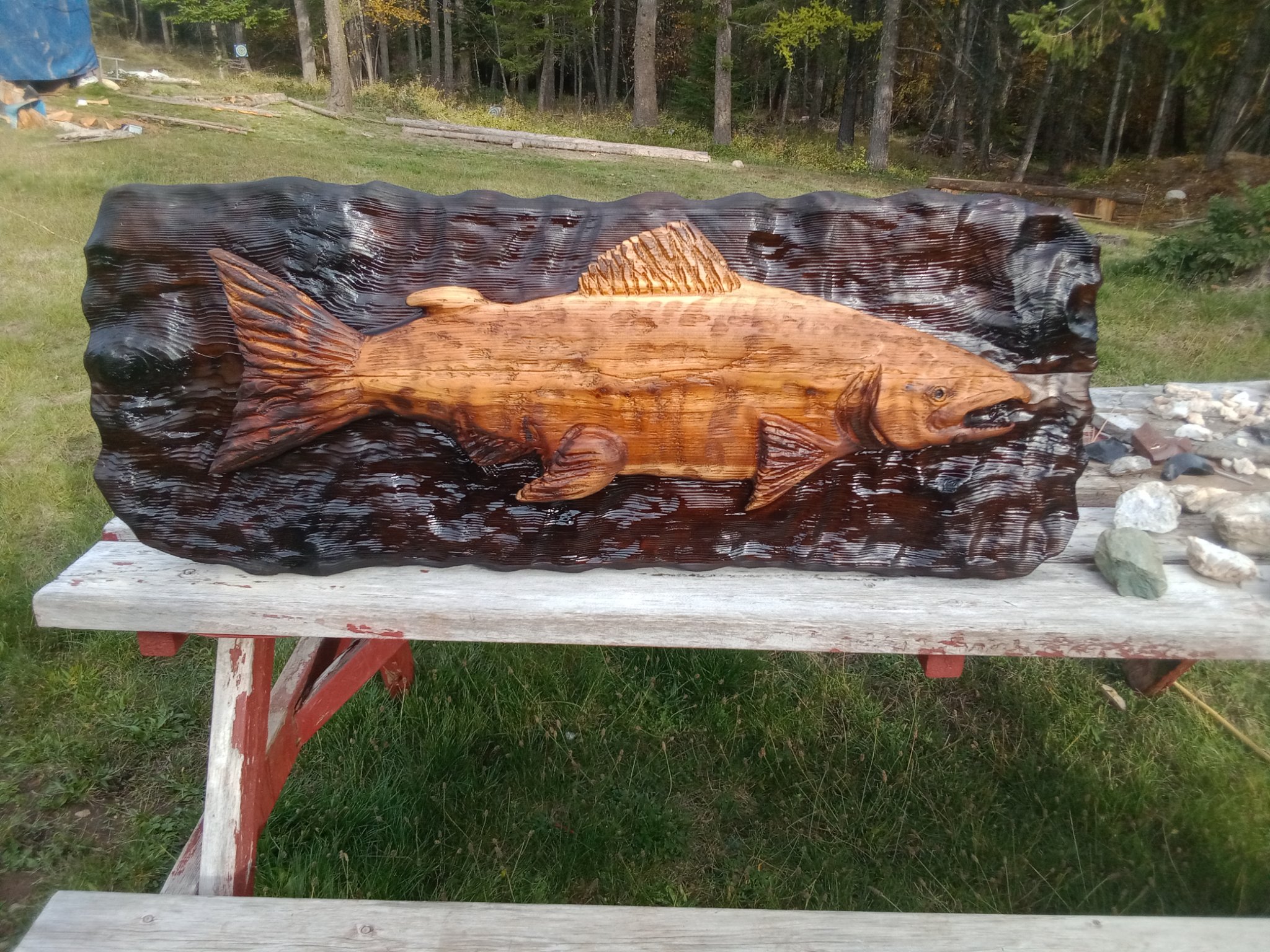 salmon carved from western red cedar. this is a beautiful  display picture 1