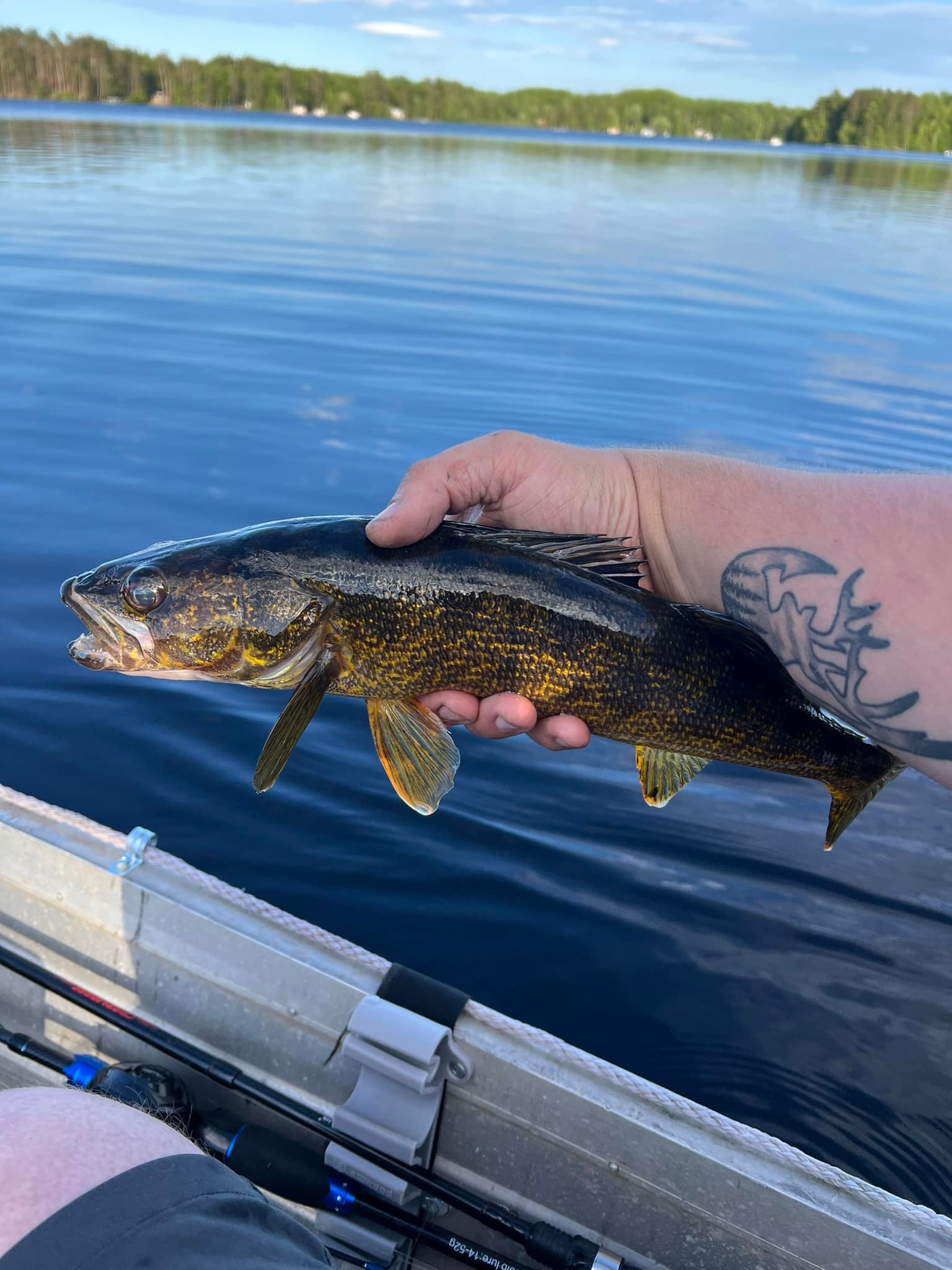 shimano compre spinnerbait rod Salmon/Steelhead Trolling CPCTS90H2 Line Rating (lb-test):20# Style_Electric Fishing Bear Trap Lure Co. the Shimano Compre Salmon/Steelhead