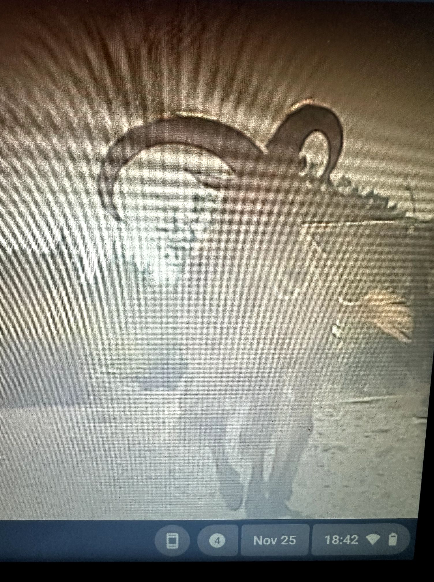 PECOS RIVER REGION HOG HUNTING | Facebook