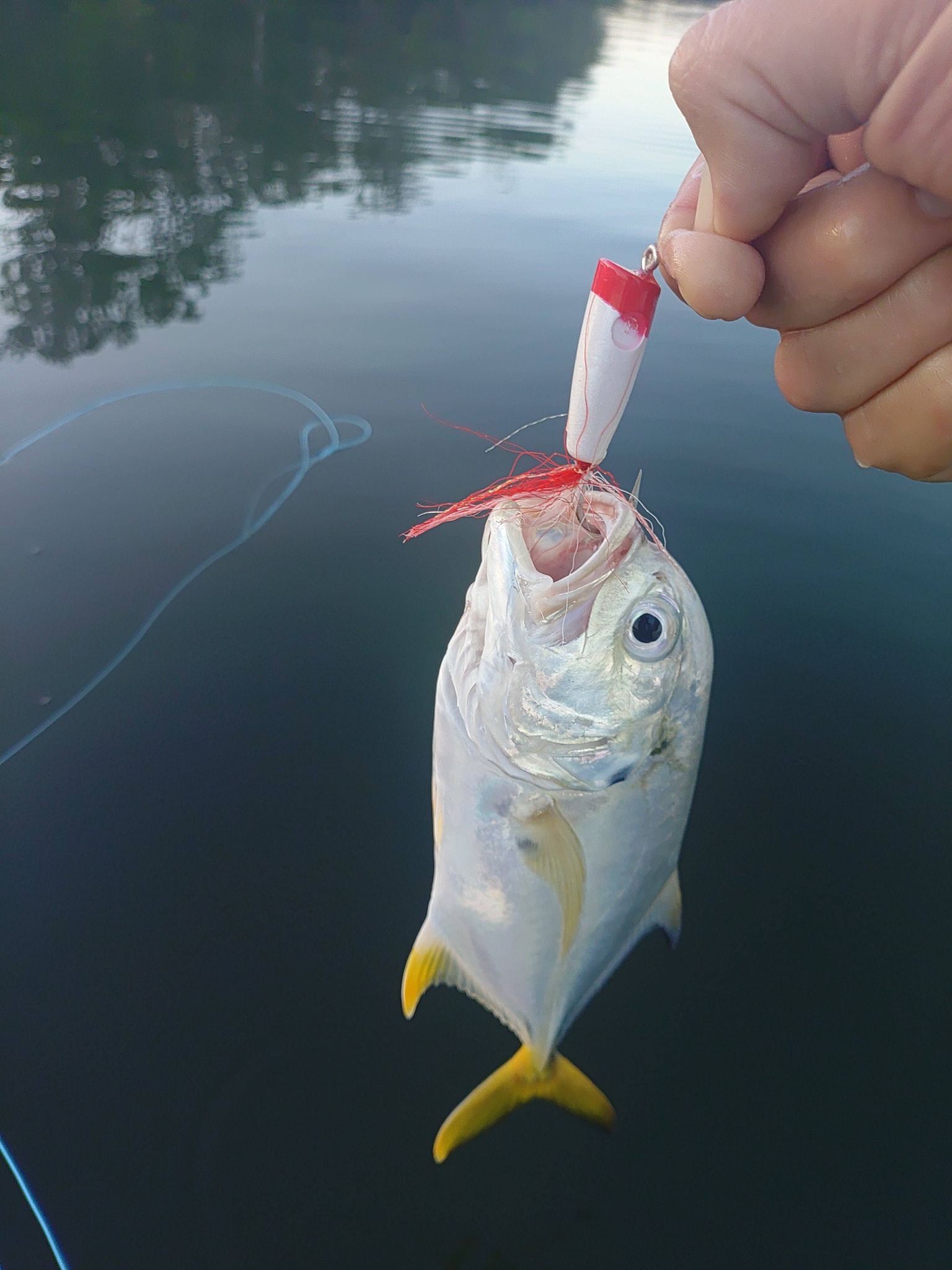 anaon plenty of fish hook ups on tumblr Peacock Bass In The Amazon!  Mossy Creek Fly Fishing VHALE Suncatchers Craft 3 Sets