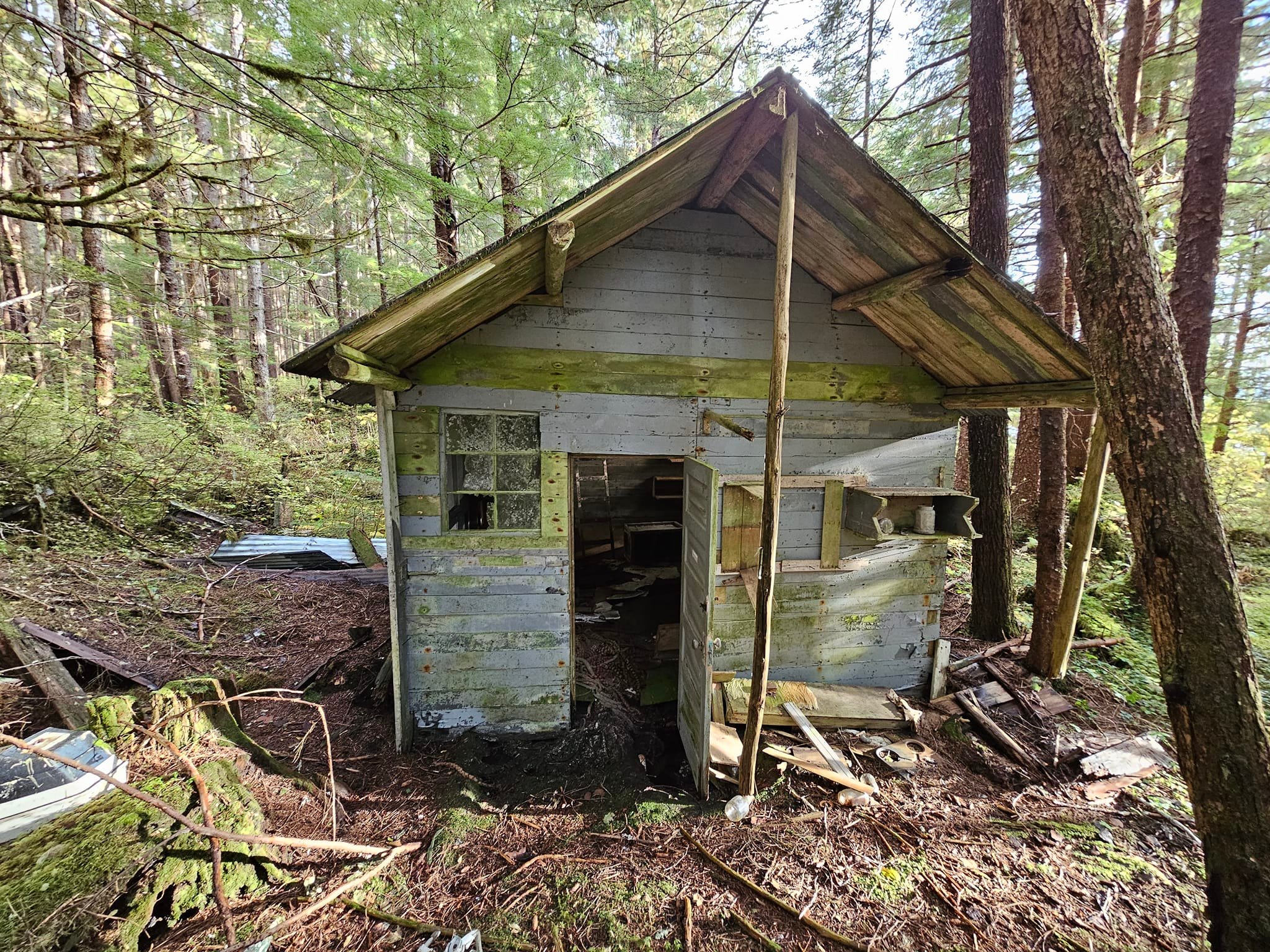 Hidden prohibition cabin at Taku Harbor