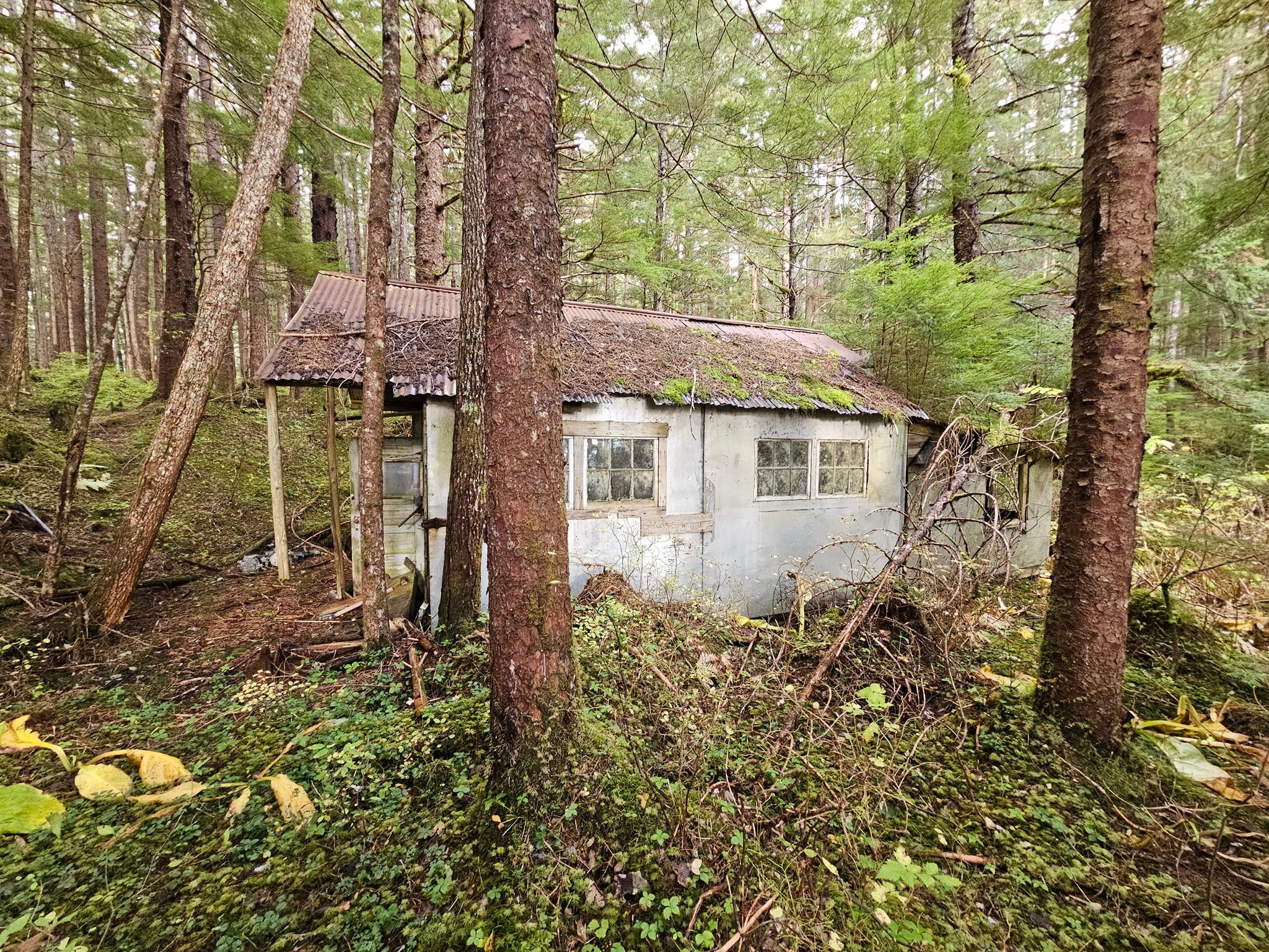 Hidden prohibition cabin at Taku Harbor