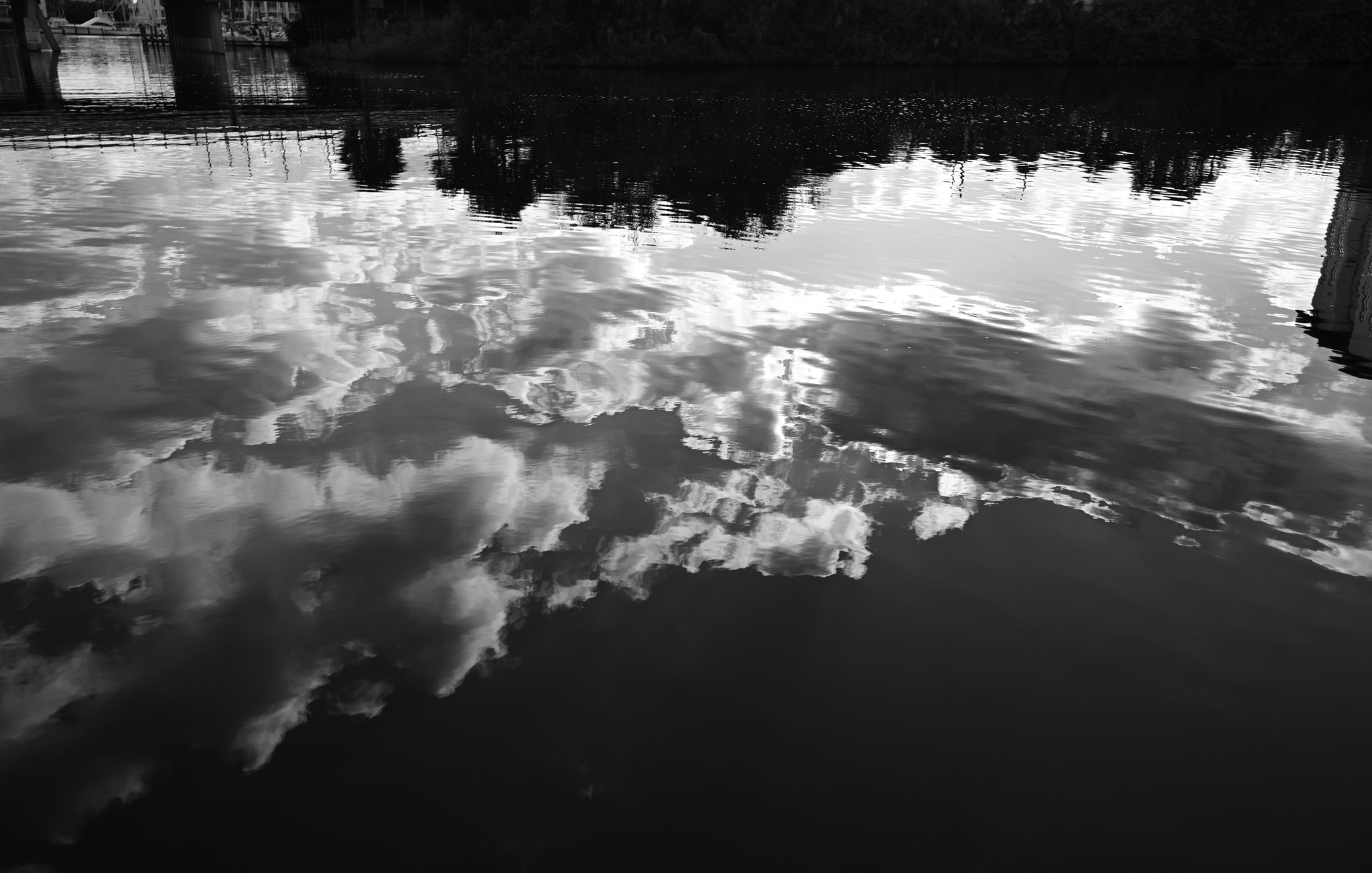 Have a fantastic day with beautiful water reflections