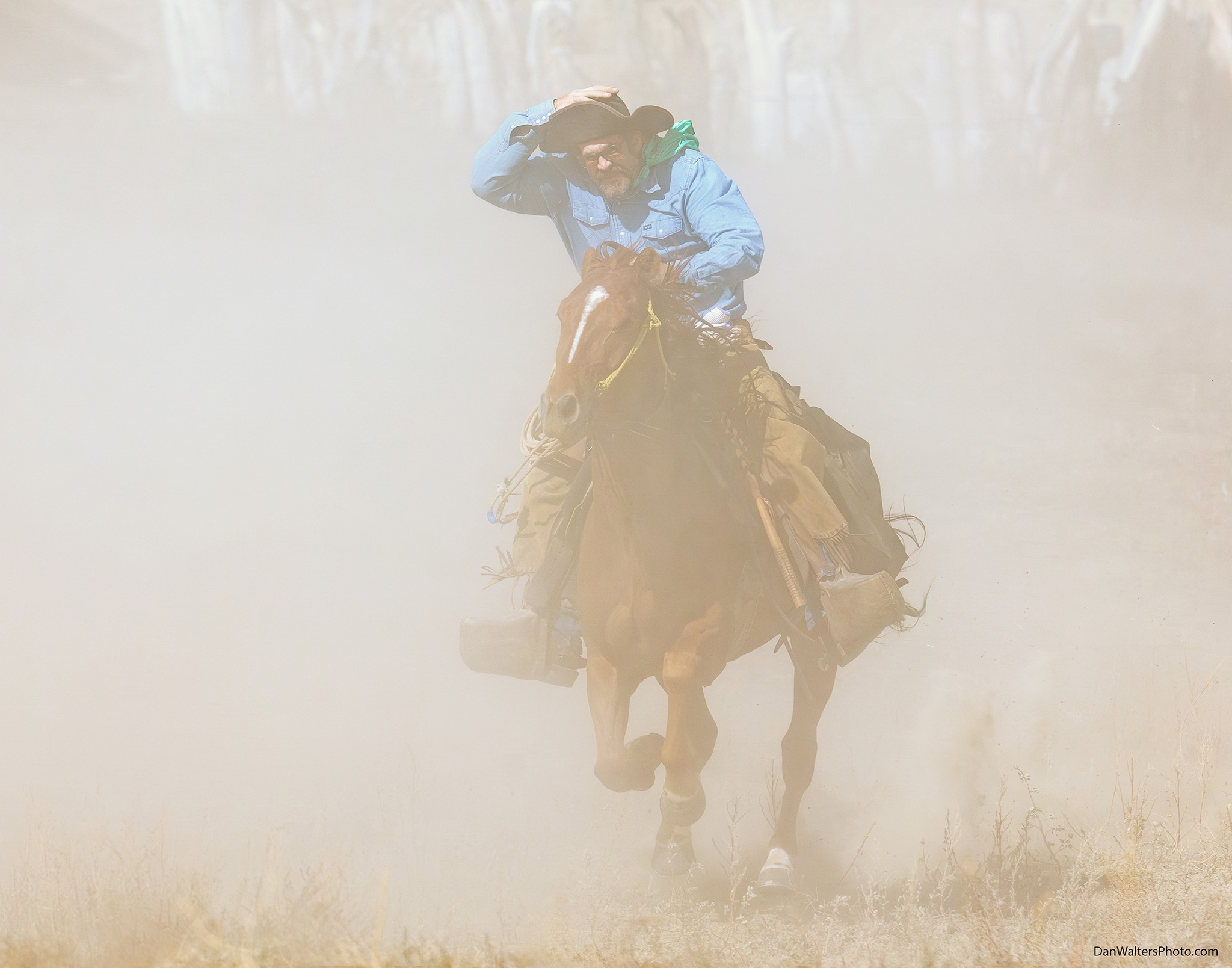 Dan - Out of the Dust A cowboy riding through the dust provided our ...