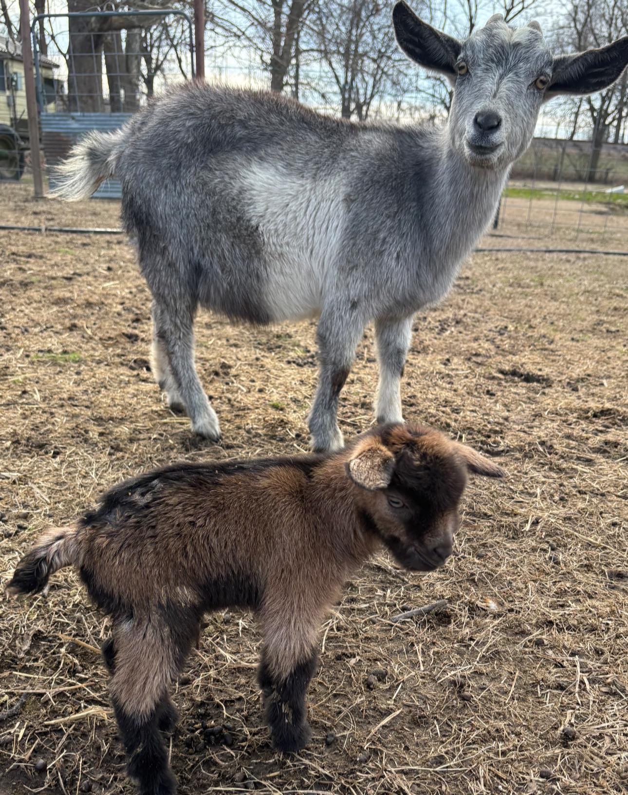 Sprinkle Farms