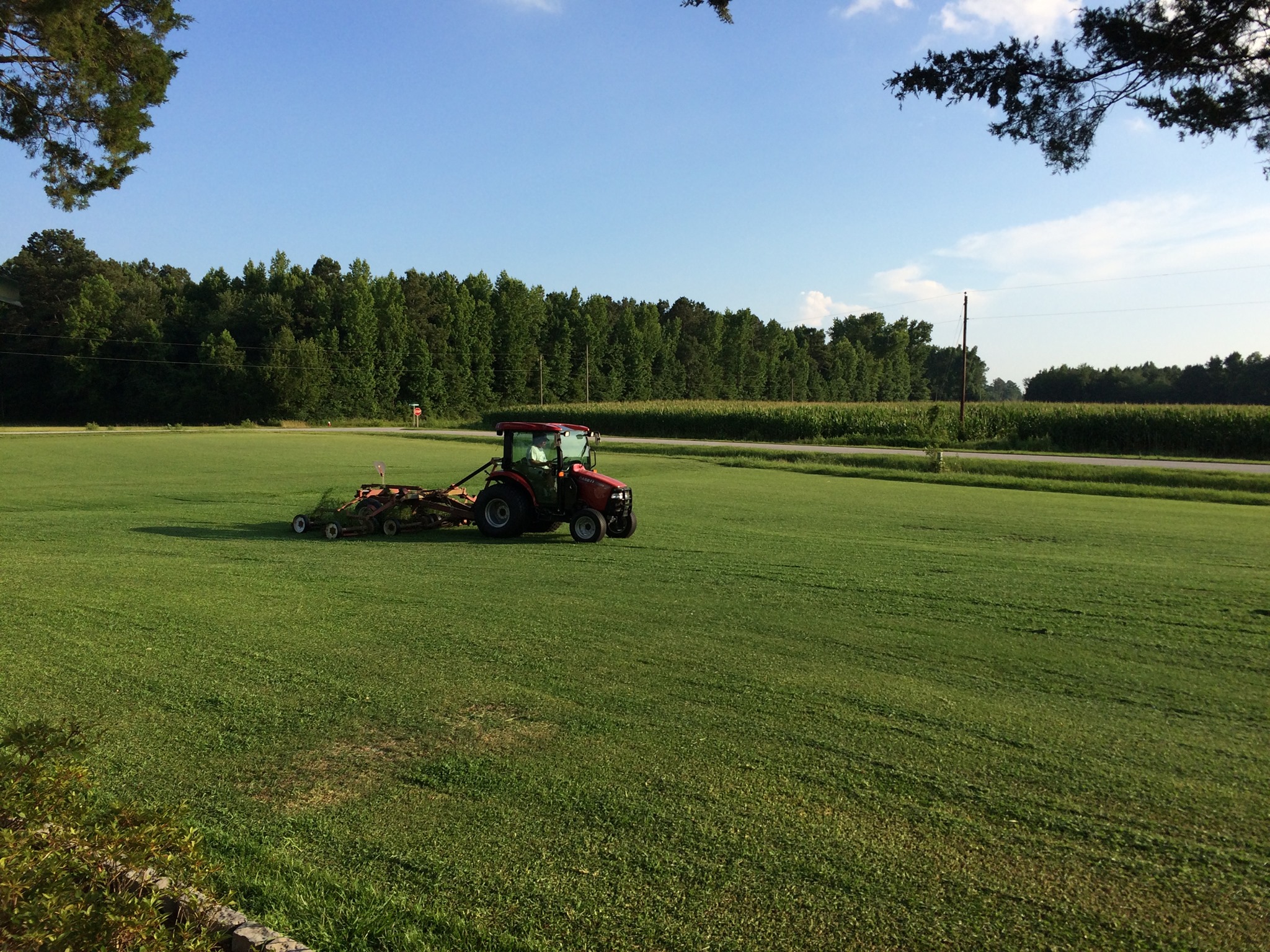 Tarheel Turfgrass Company, Inc.
