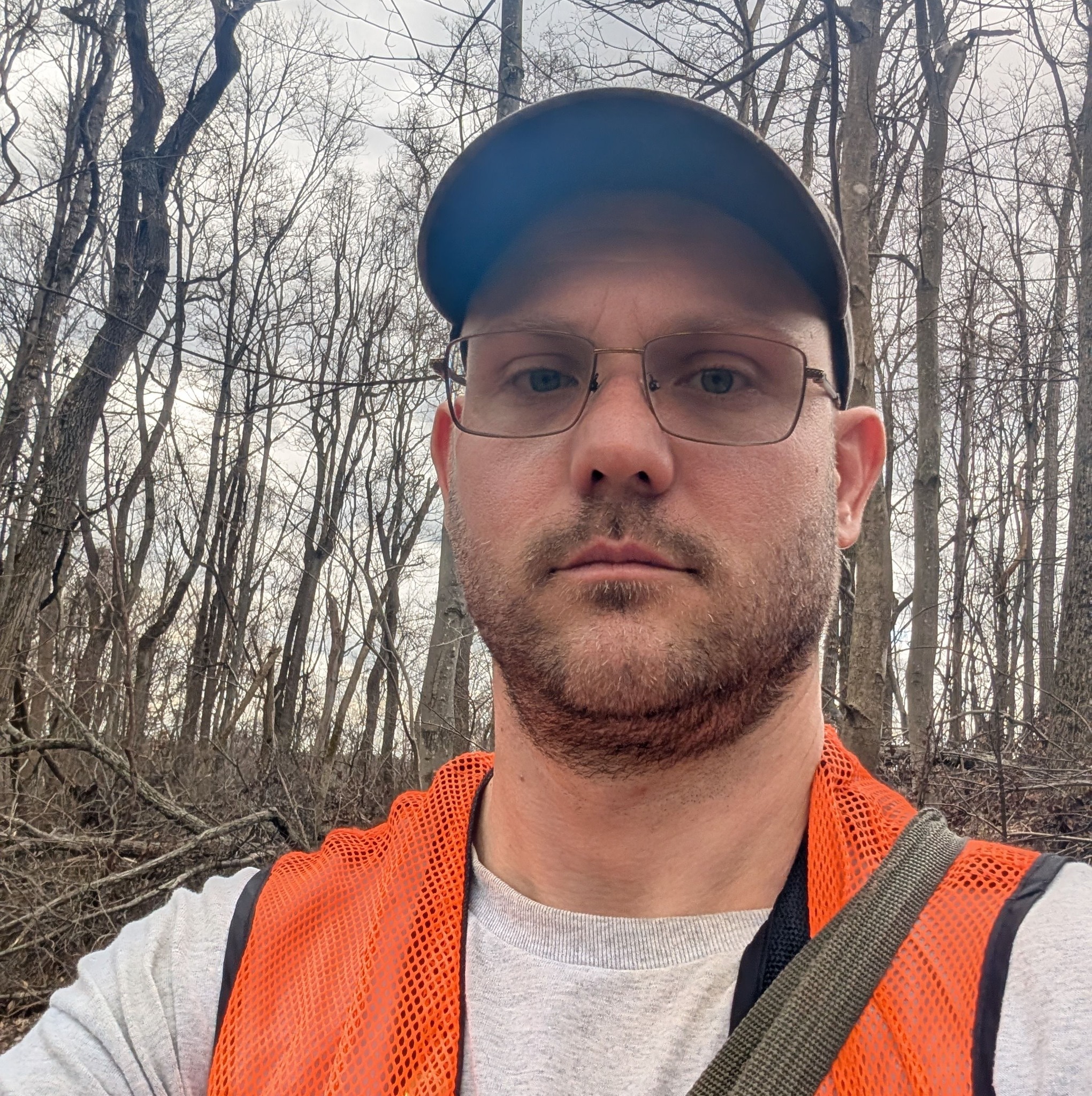 Ohio Whitetail Deer 2 | These are my top 3 Ohio public land target ...
