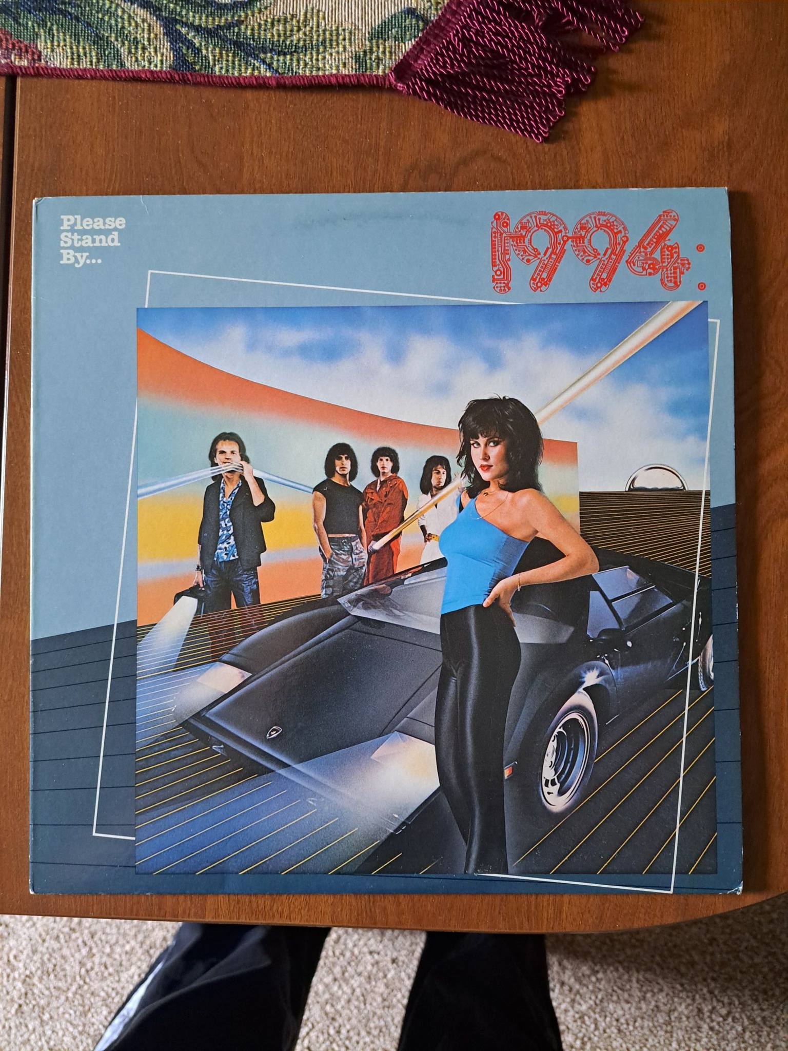 The Rip Offs - Got A Record - Rip Off Records 1994 review