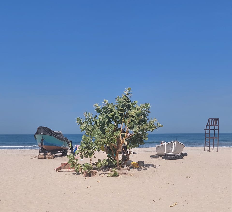 Kunta Kinteh beach bar Public Group | Facebook