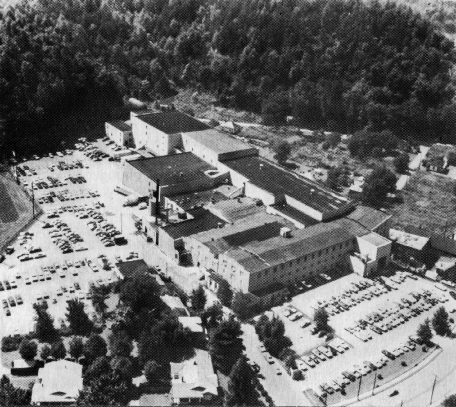 Bassett-Walker, Bassett Division, 1976