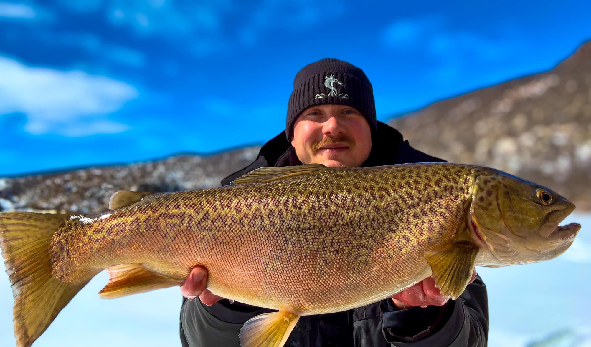 Tiger trout in southeast Wyoming