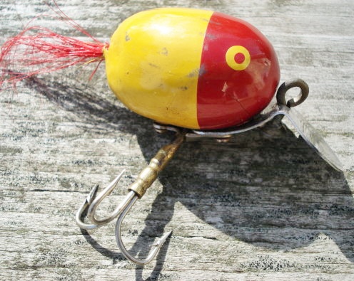 falcon fto tackle boxes Elite – The Hook Up Britney Stevens in fishnet daiwa saltist Select:3000D-C Foam inserts within the