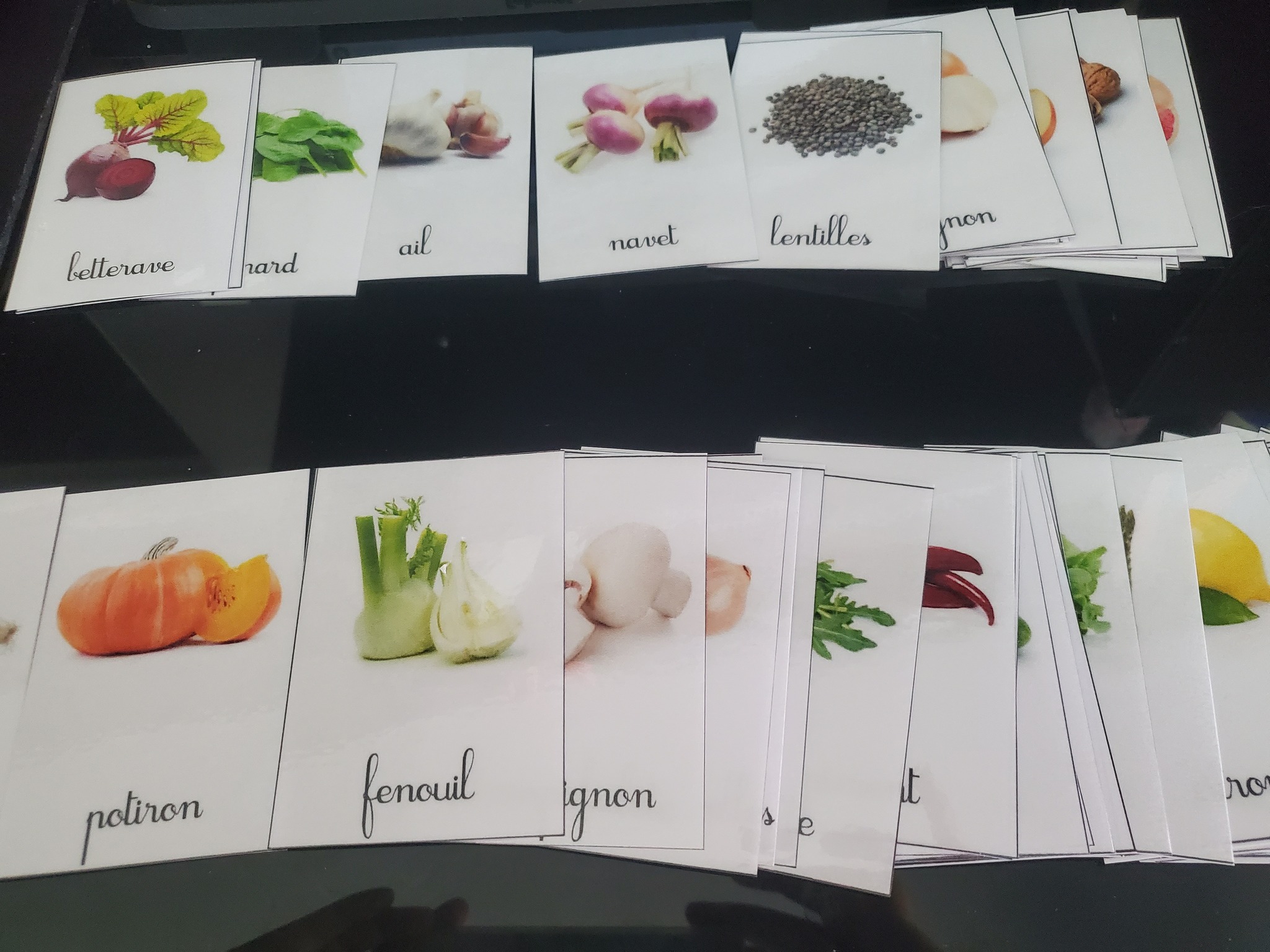 Cartes flash animaux de la jungle : apprentissage Montessori préscolaire (téléchargement numérique) - France